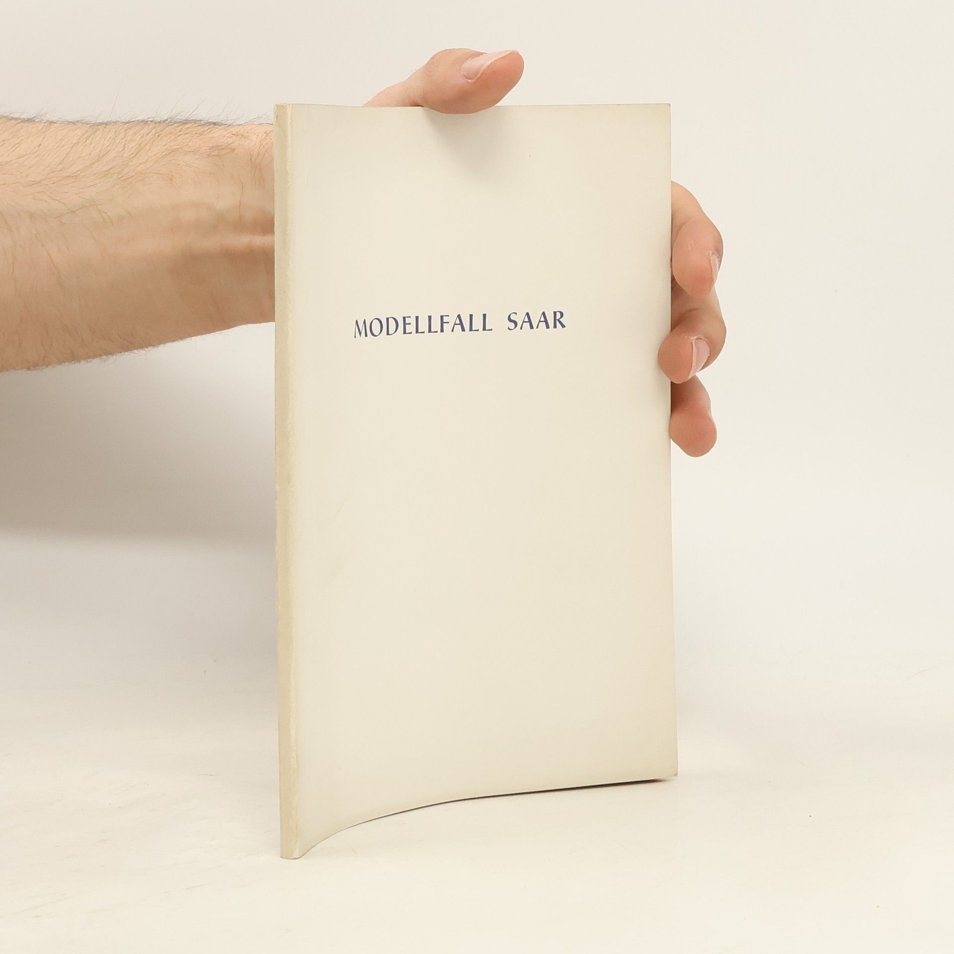 W. Neunkirch Modellfall Saar