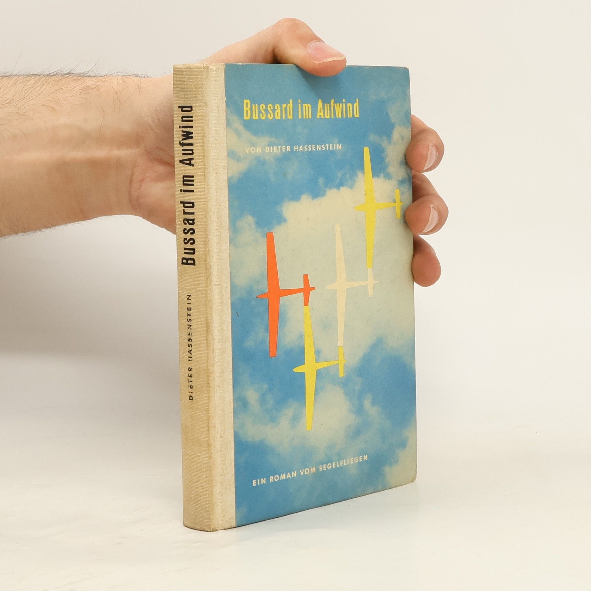 Dieter Hassenstein Bussard im Aufwind