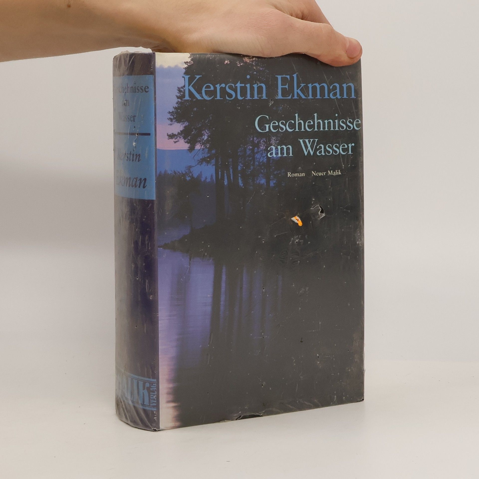 Kerstin Ekman Geschehnisse am Wasser