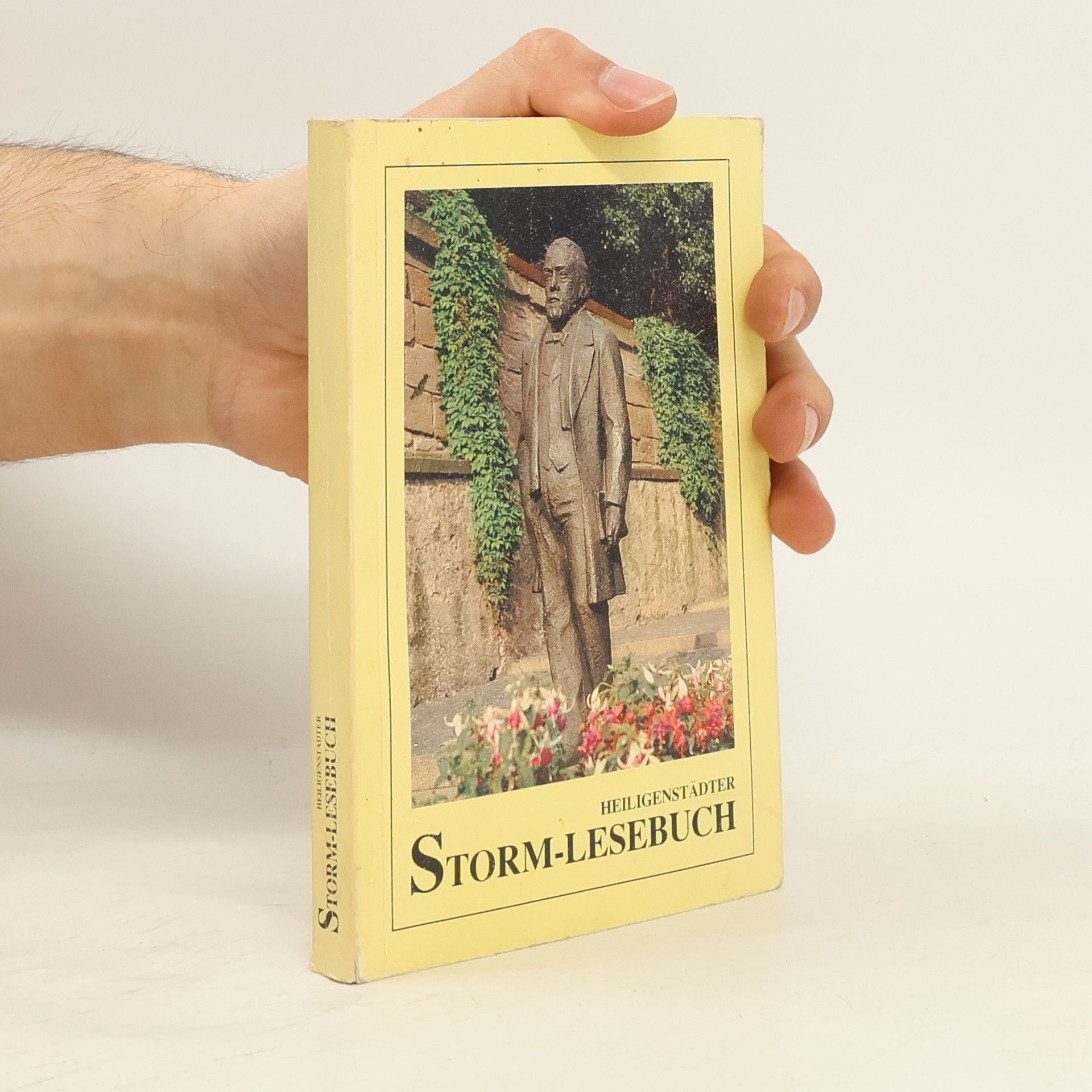 Theodor Storm Storm-Lesebuch