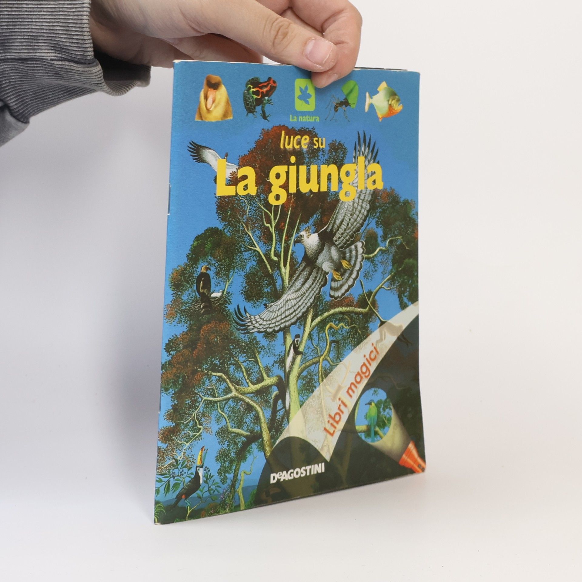 Claude Delafosse Luce su la giungla