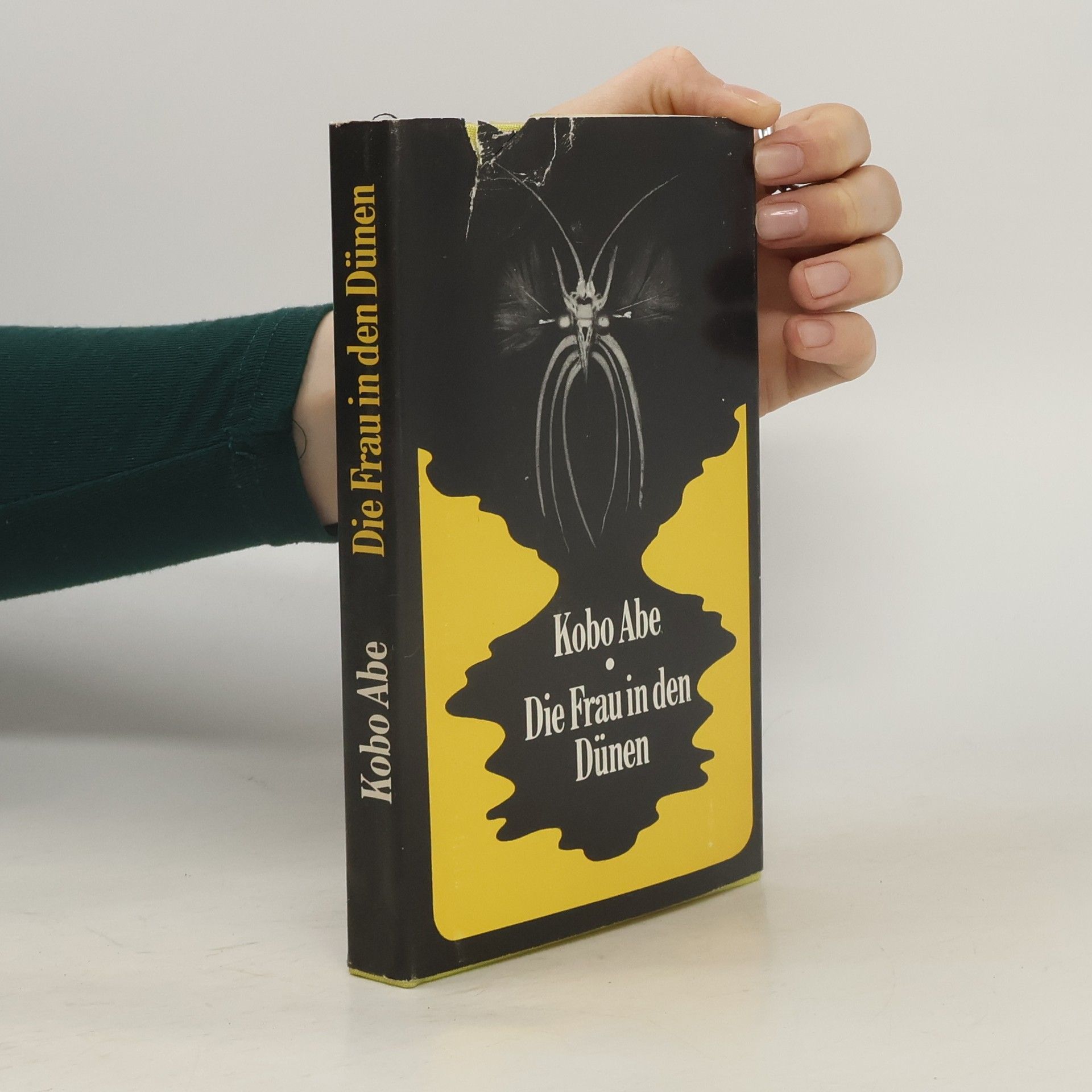 Kōbō Abe Die Frau in den Dünen