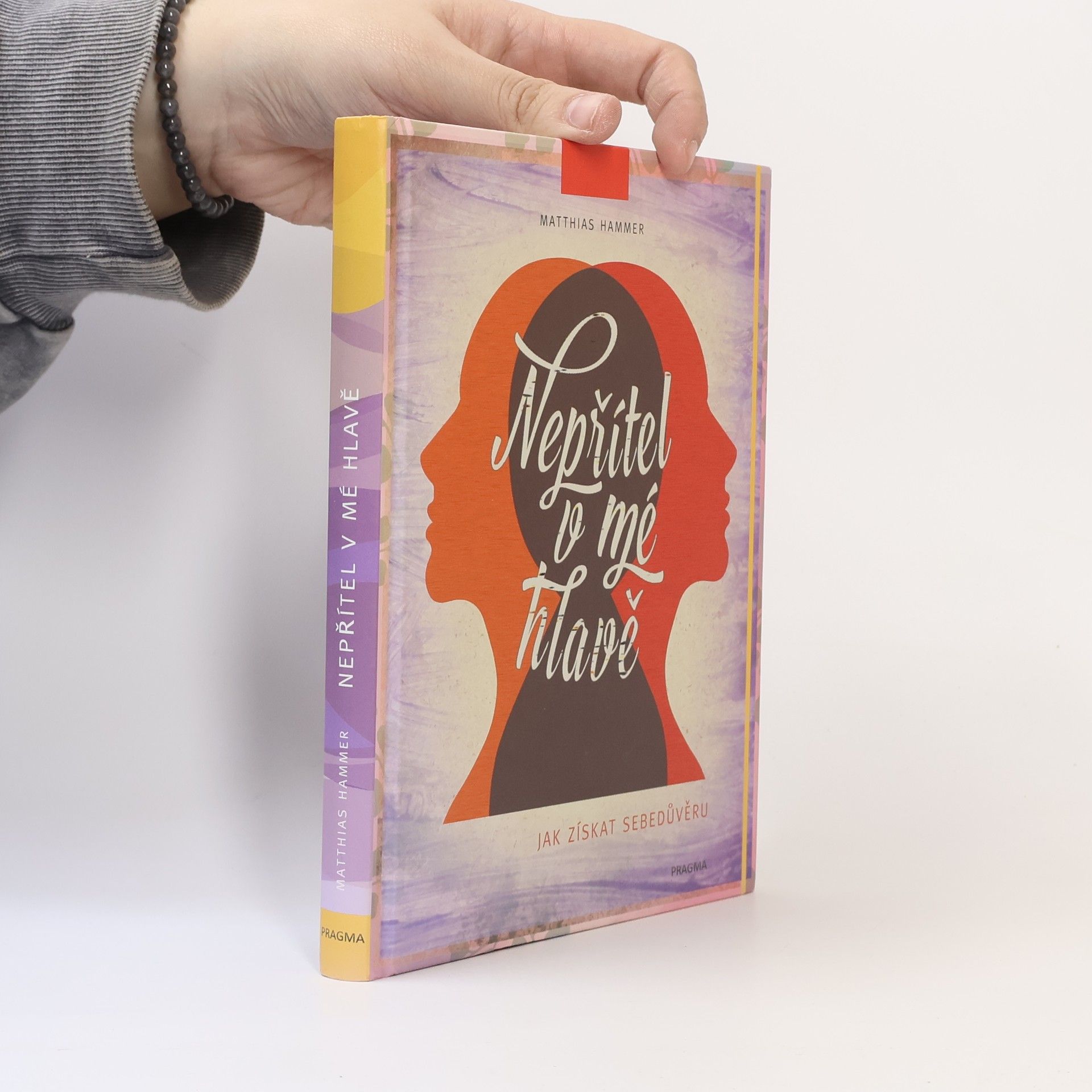 Matthias Hammer Nepřítel v mé hlavě