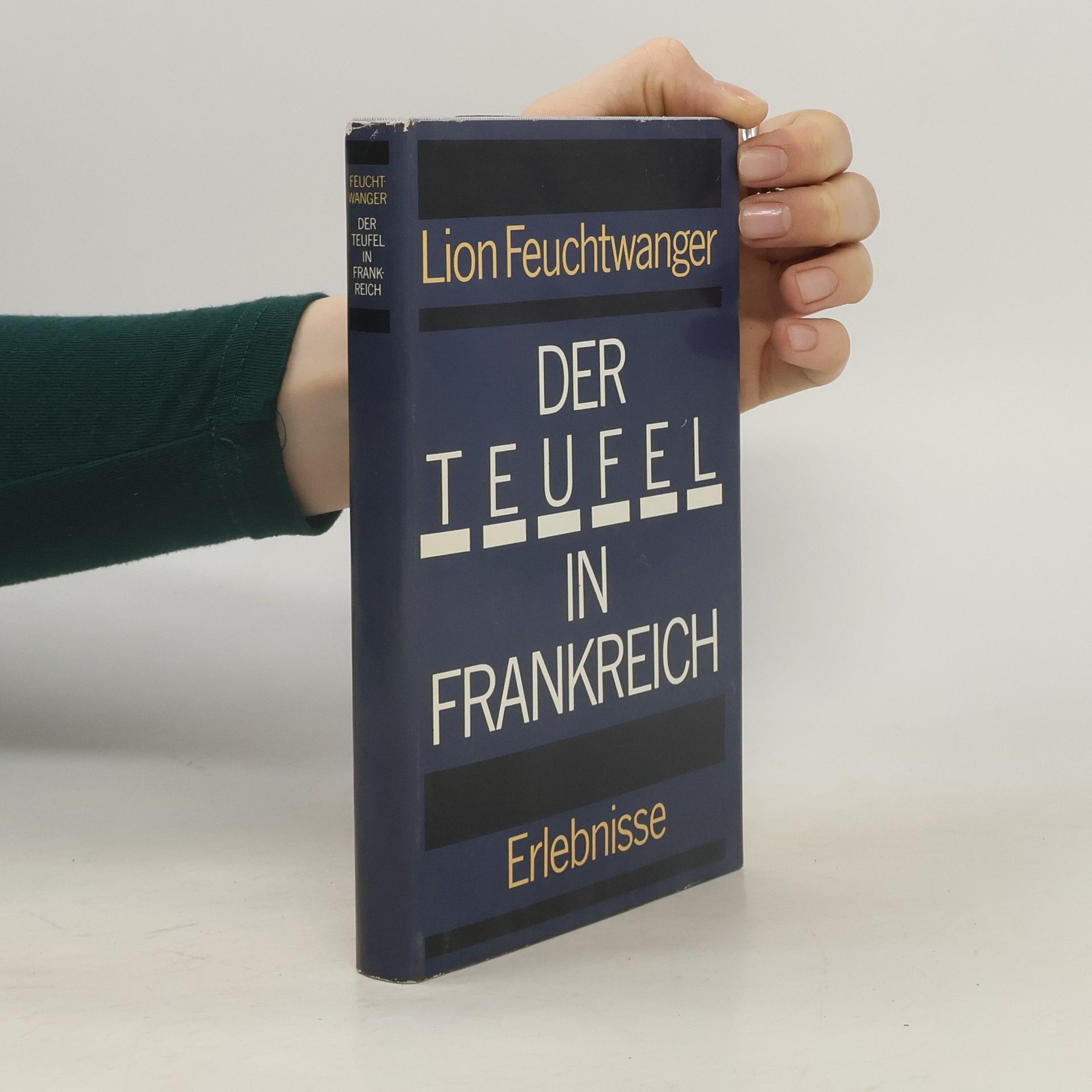 Lion Feuchtwanger Der Teufel in Frankreich