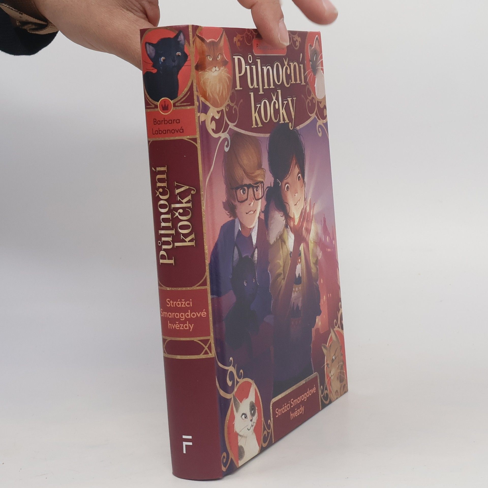 Půlnoční kočky. Strážci Smaragdové hvězdy