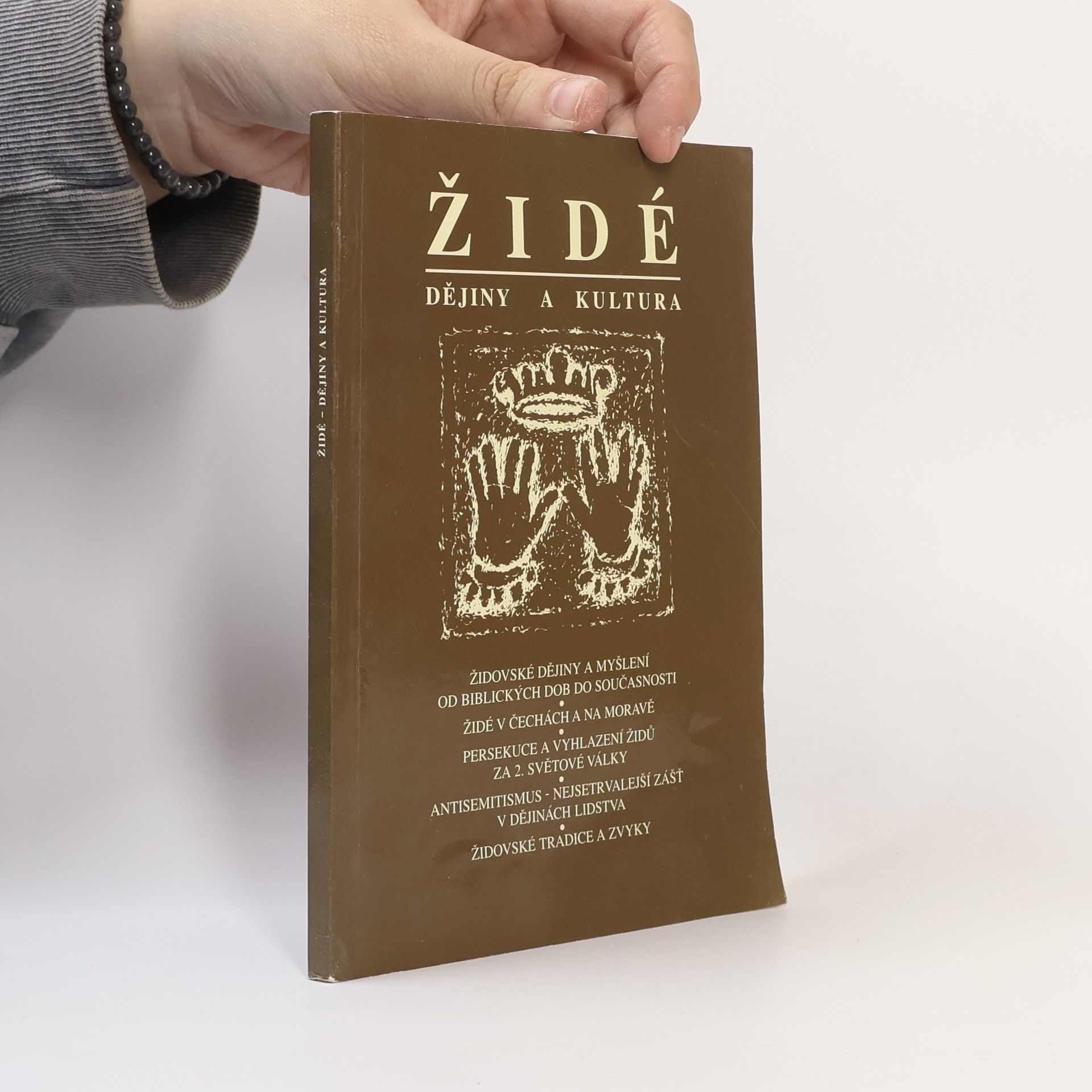 Autorenkollektiv Židé. Dějiny a kultura