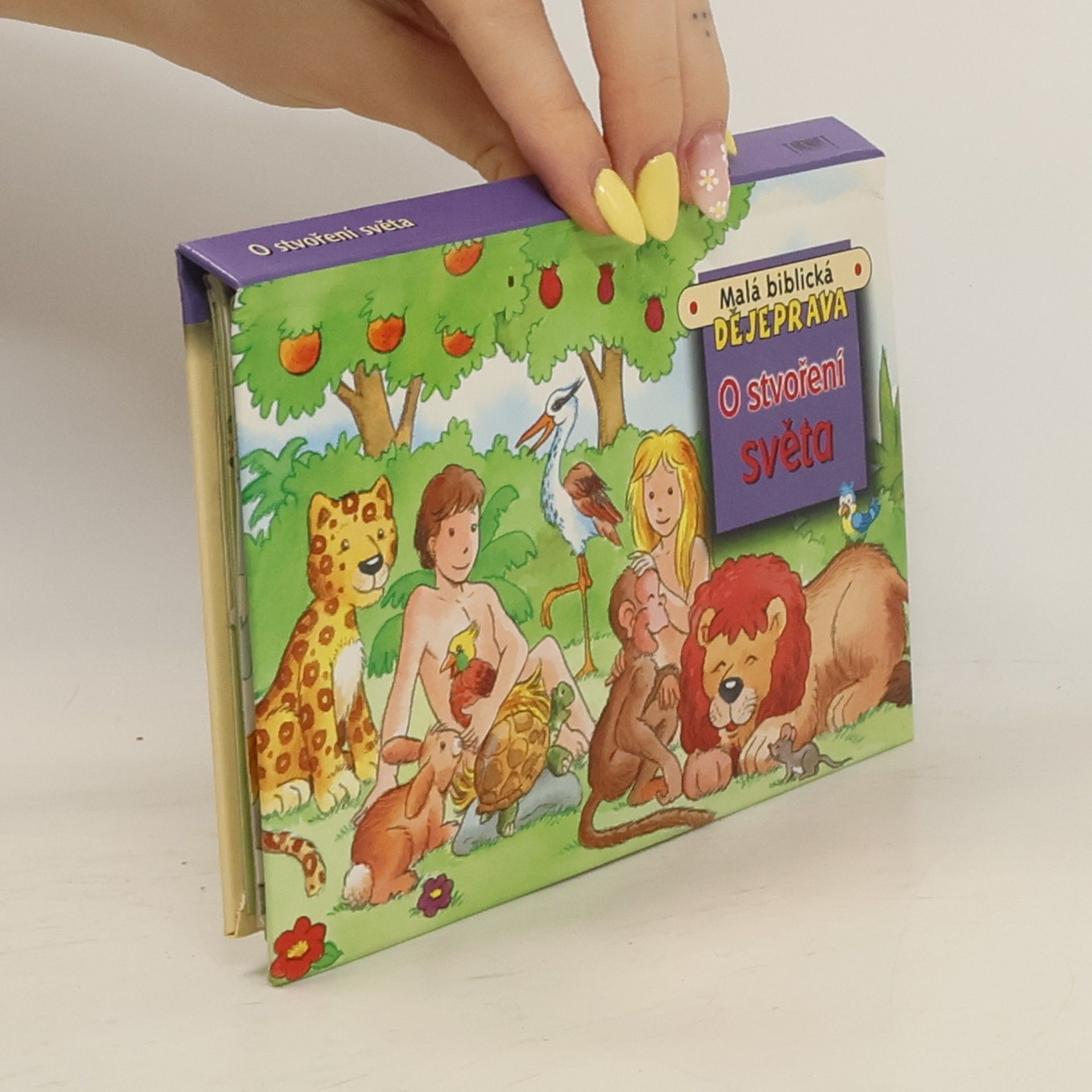 Jane Brierley Malá biblická dějeprava: O stvoření světa