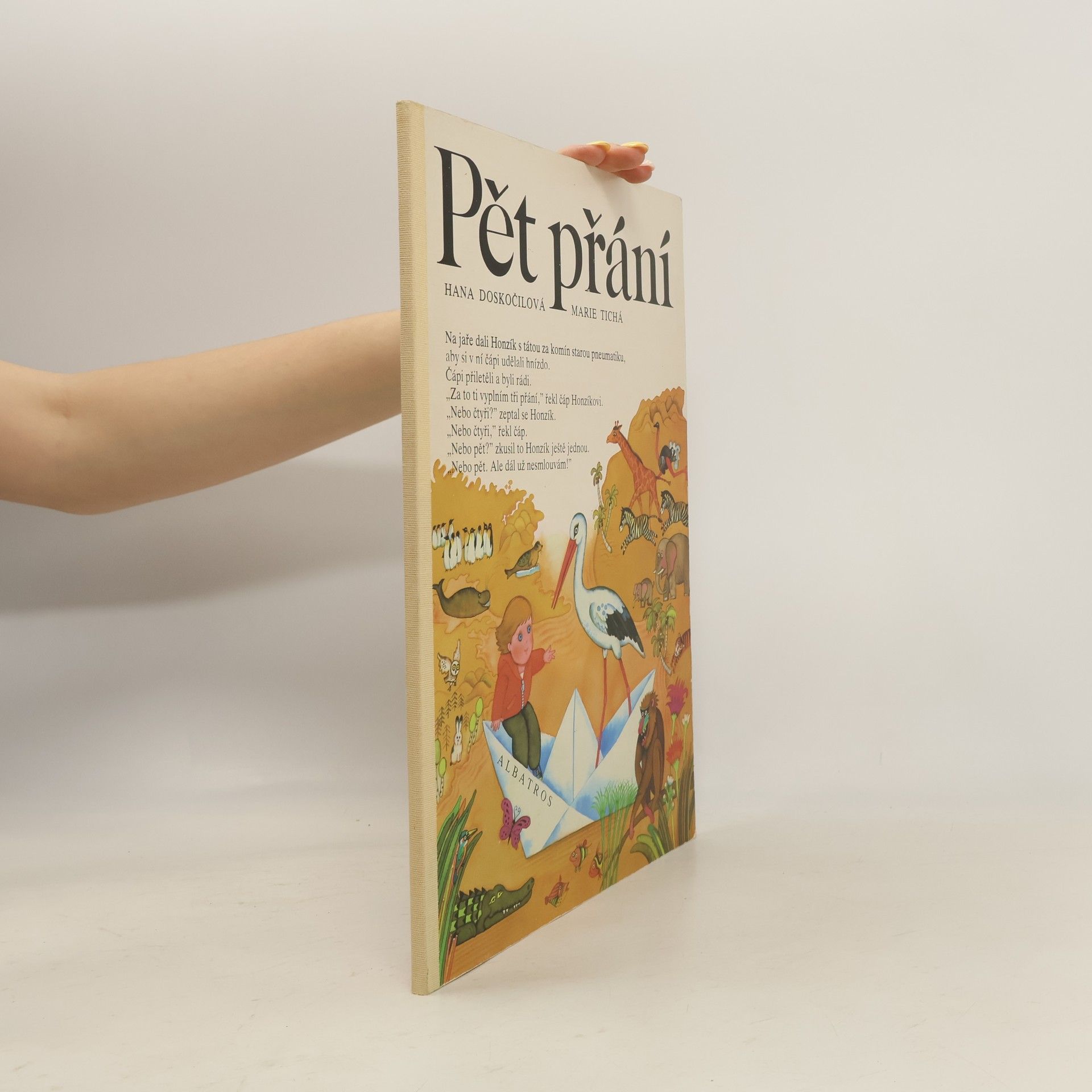 Marie Tichá Pět přání