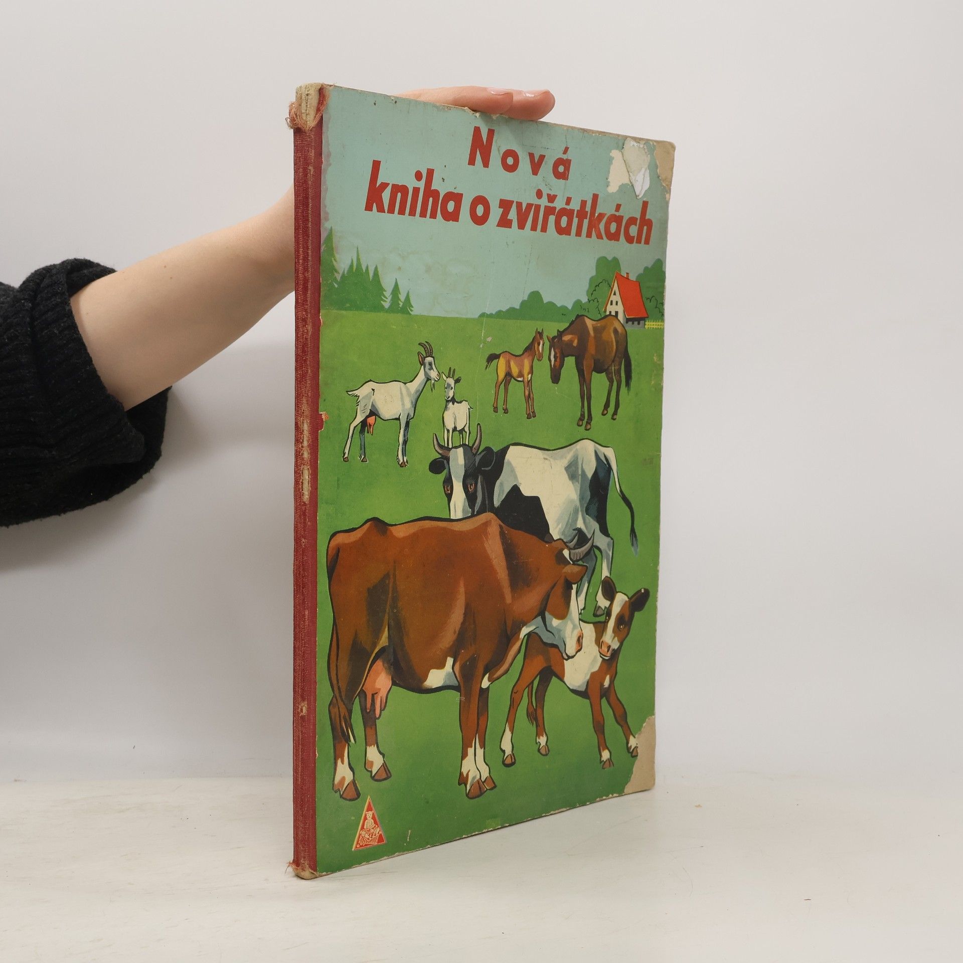 Kolektiv autorů Nová kniha o zvířátkách