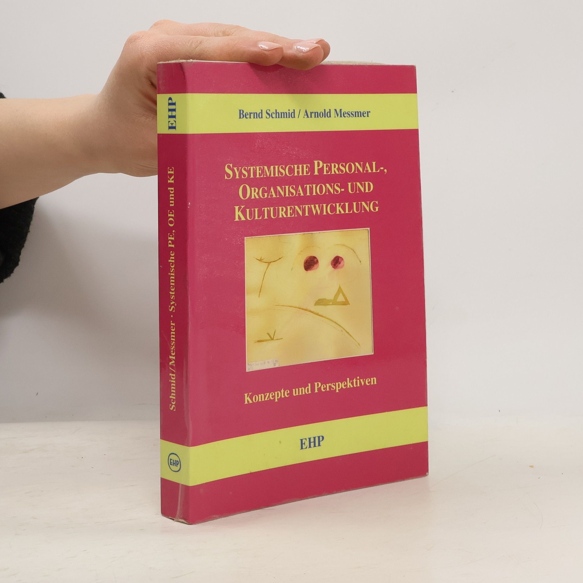 Bernd Schmid Systemische Personal-, Organisations- und Kulturentwicklung