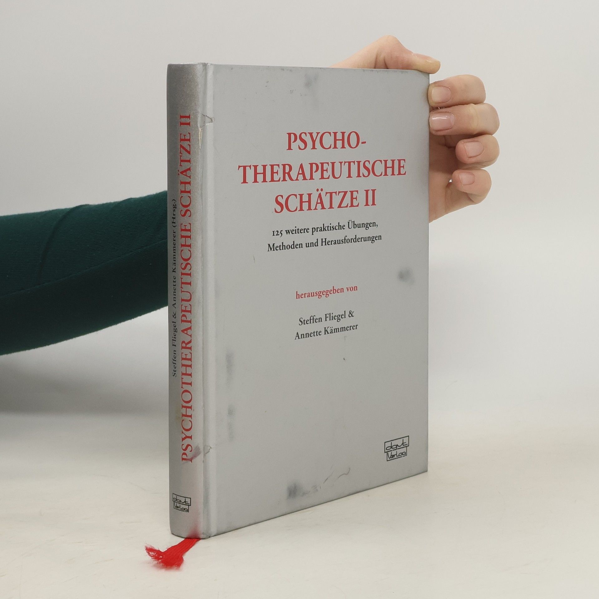 Steffen Fliegel Psychotherapeutische Schätze