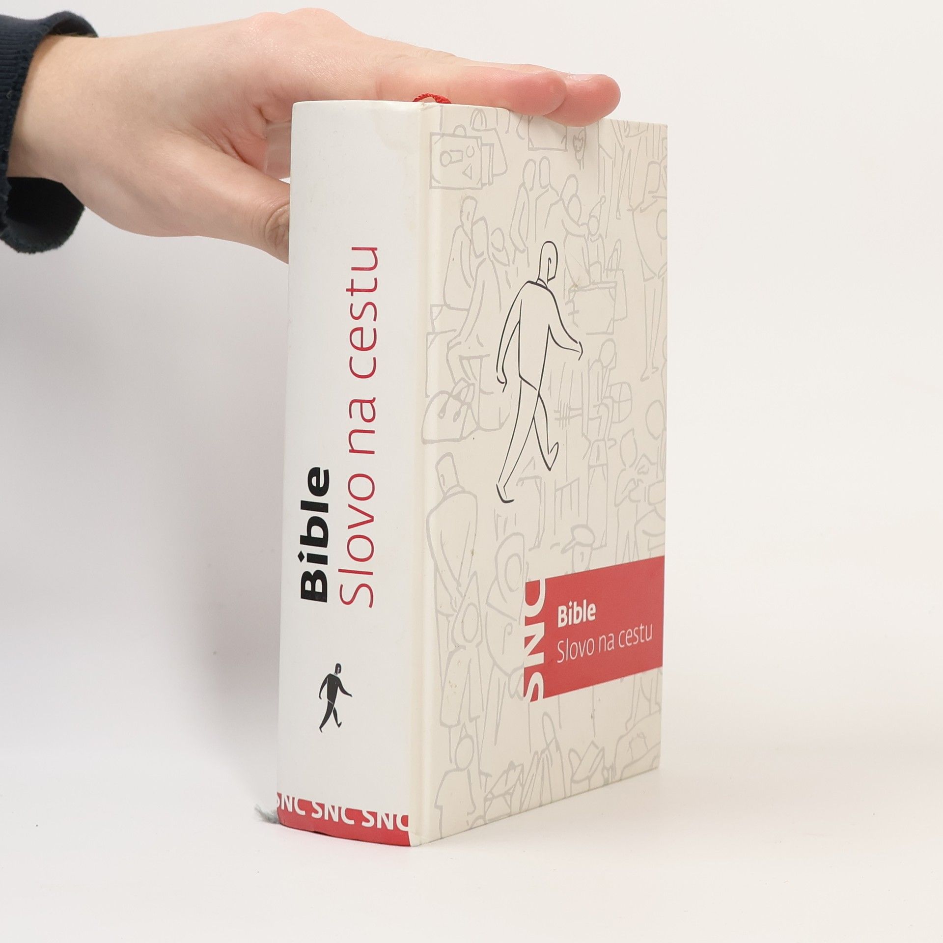 Autorenkollektiv Slovo na cestu : Bible s ilustracemi