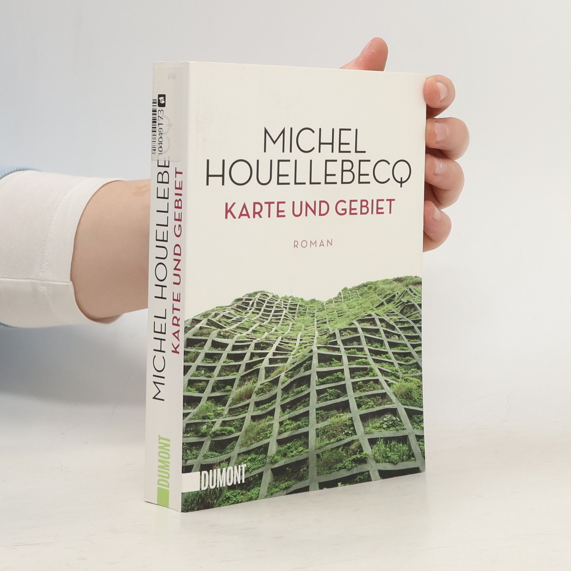 Michel Houellebecq Karte und Gebiet