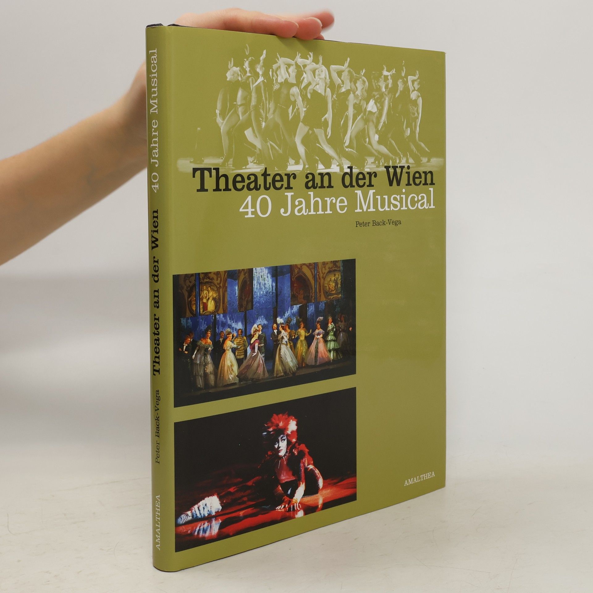 Peter Back-Vega Theater an der Wien: 40 Jahre Musical