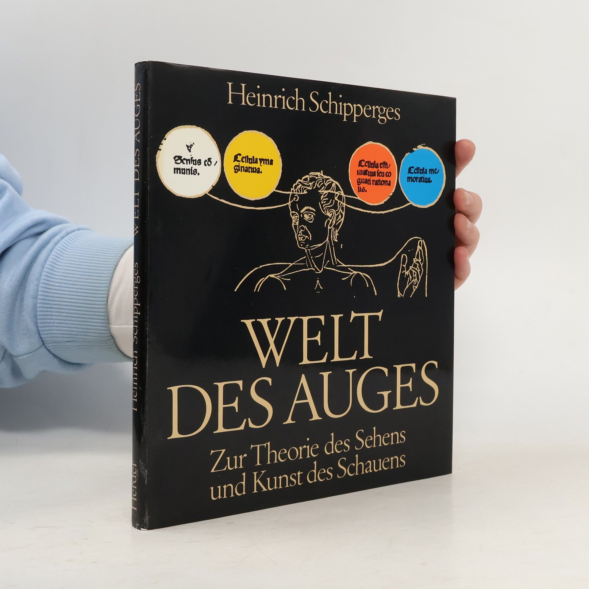 Heinrich Schipperges Welt des Auges