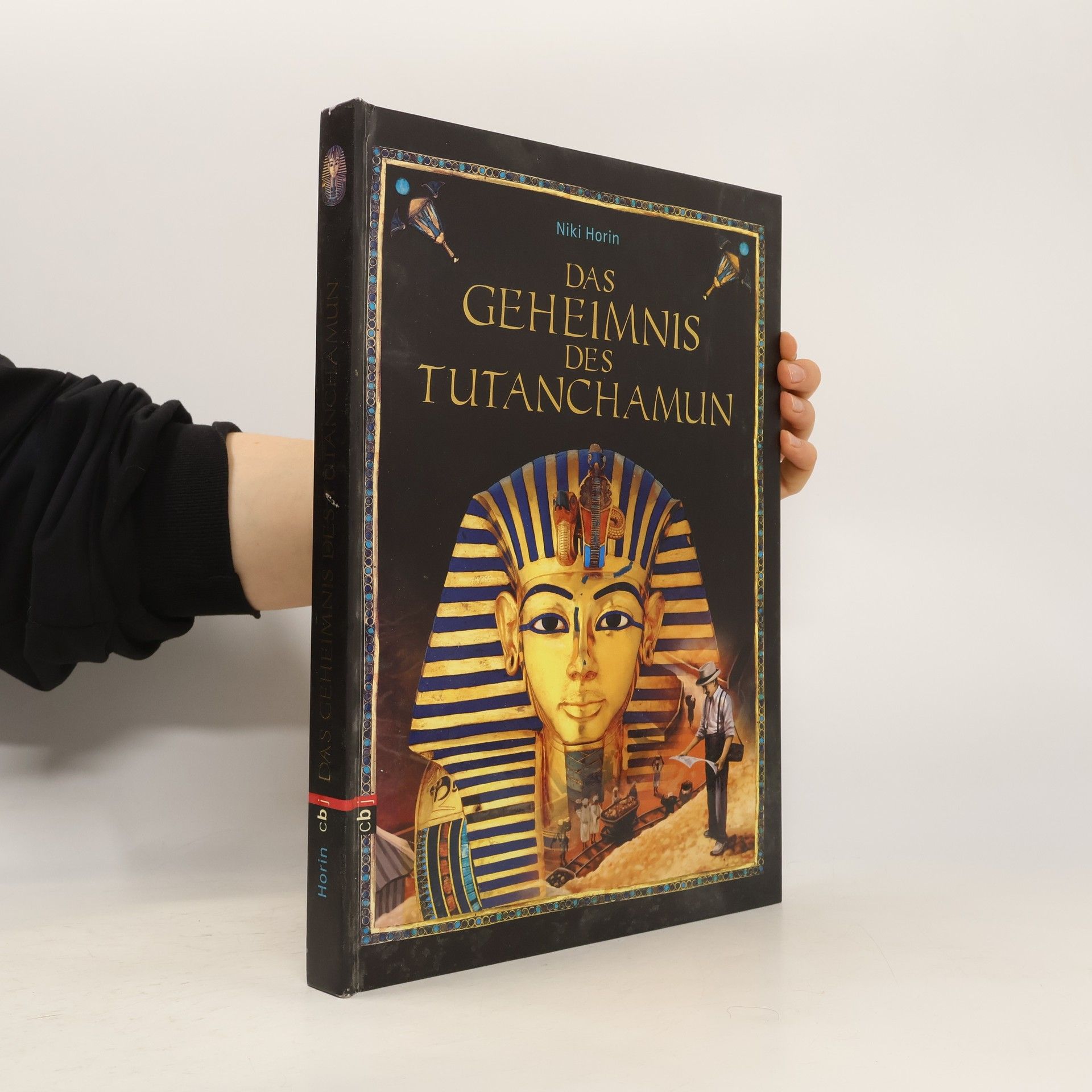 Niki Horin Das Geheimnis des Tutanchamun