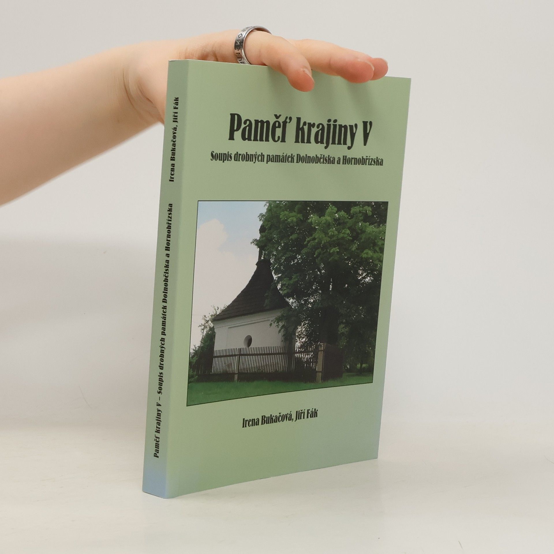 Irena Bukačová Paměť krajiny. V, Soupis drobných památek Dolnobělska a Hornobřízska