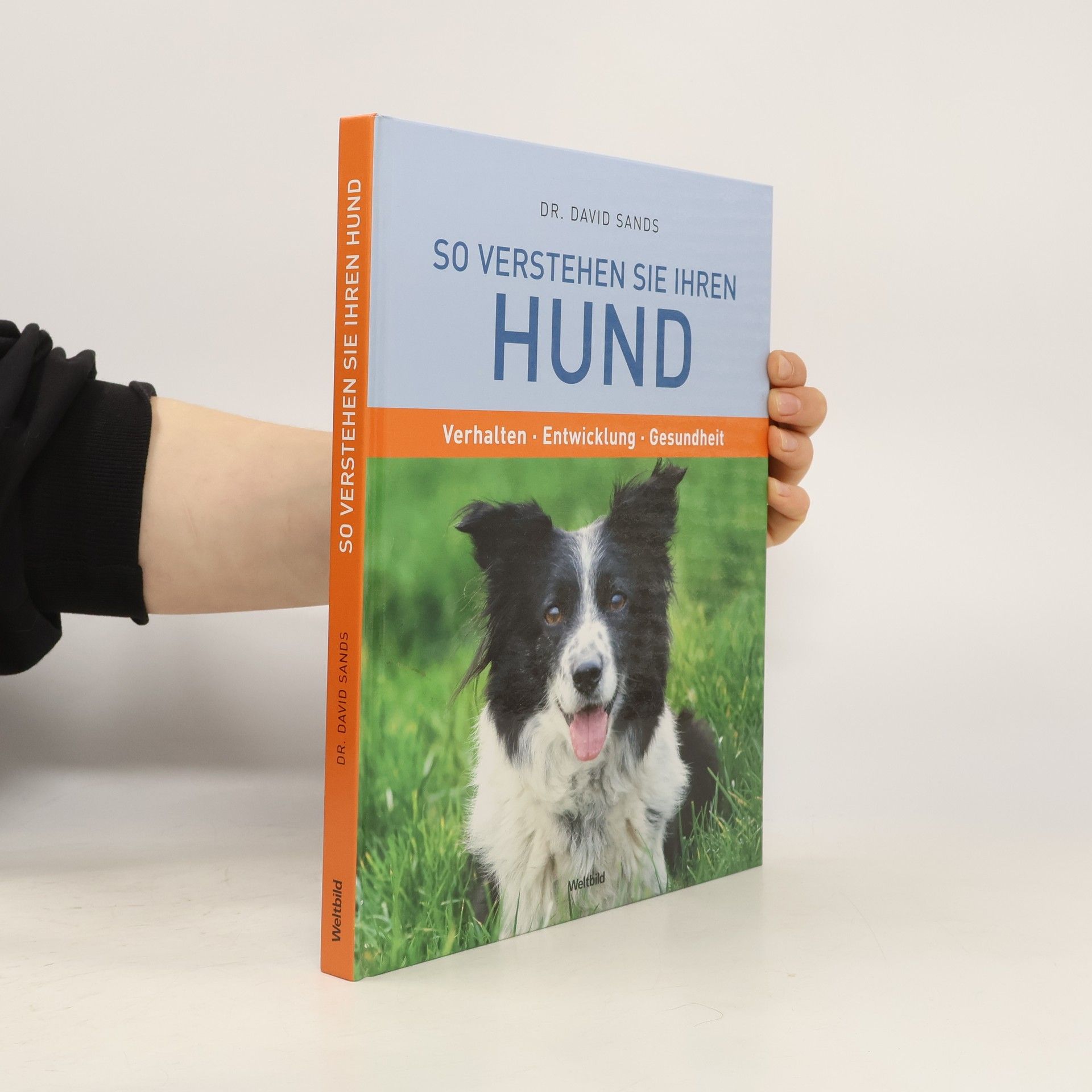 So verstehen Sie Ihren Hund