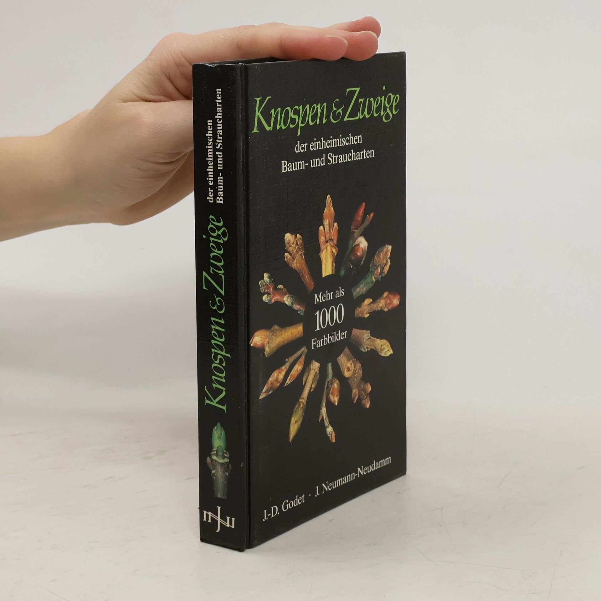 Jean Denis Godet Knospen & Zweige der einheimischen Baum- und Straucharten sicher und schnell bestimmen