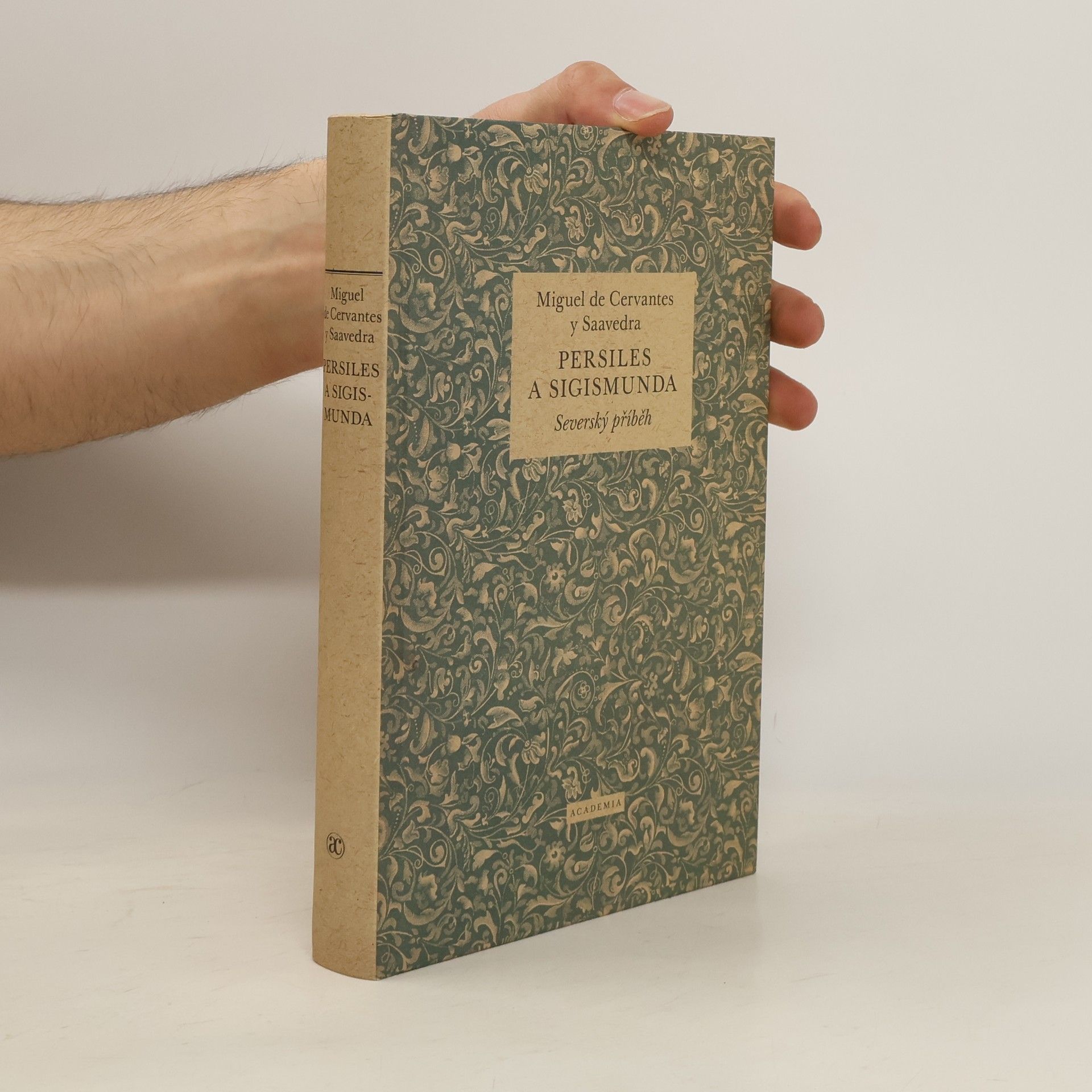 Miguel de Cervantes Persiles a Sigismunda: Severský příběh