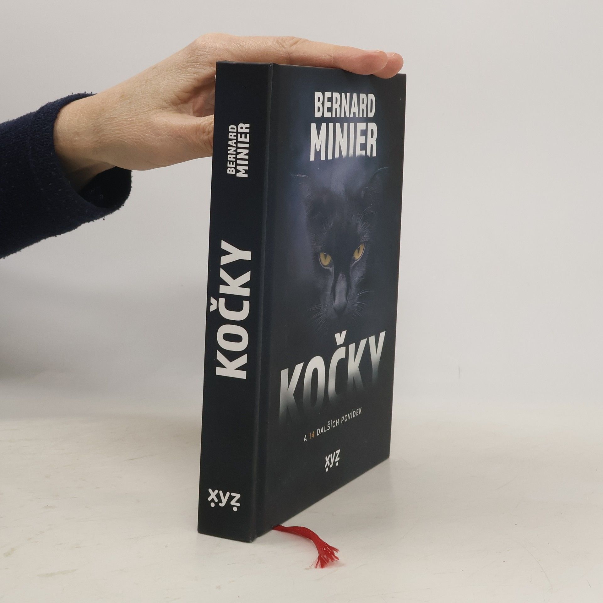 Bernard Minier Kočky