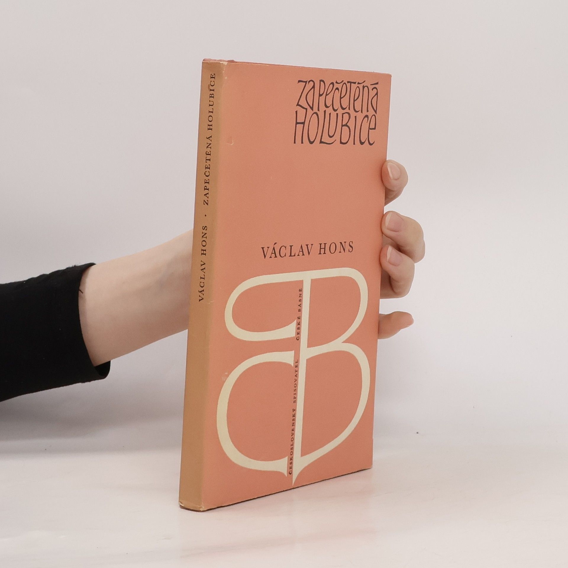 Václav Hons Zapečetěná holubice