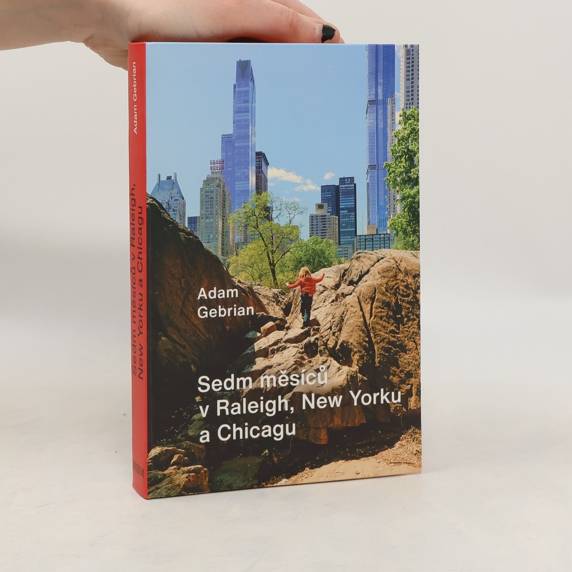 Sedm měsíců v Raleigh, New Yorku a Chicagu