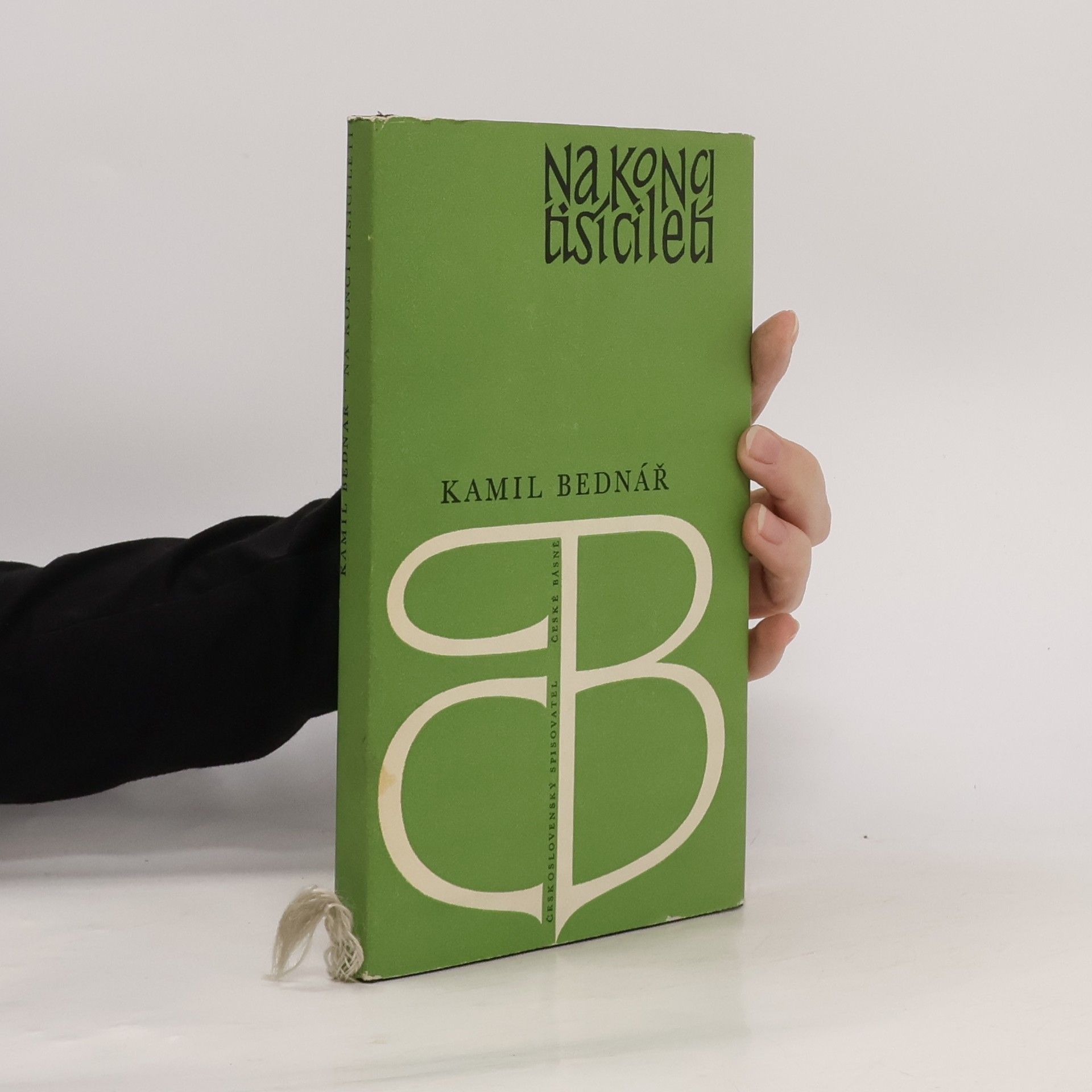 Kamil Bednář Na konci tisíciletí