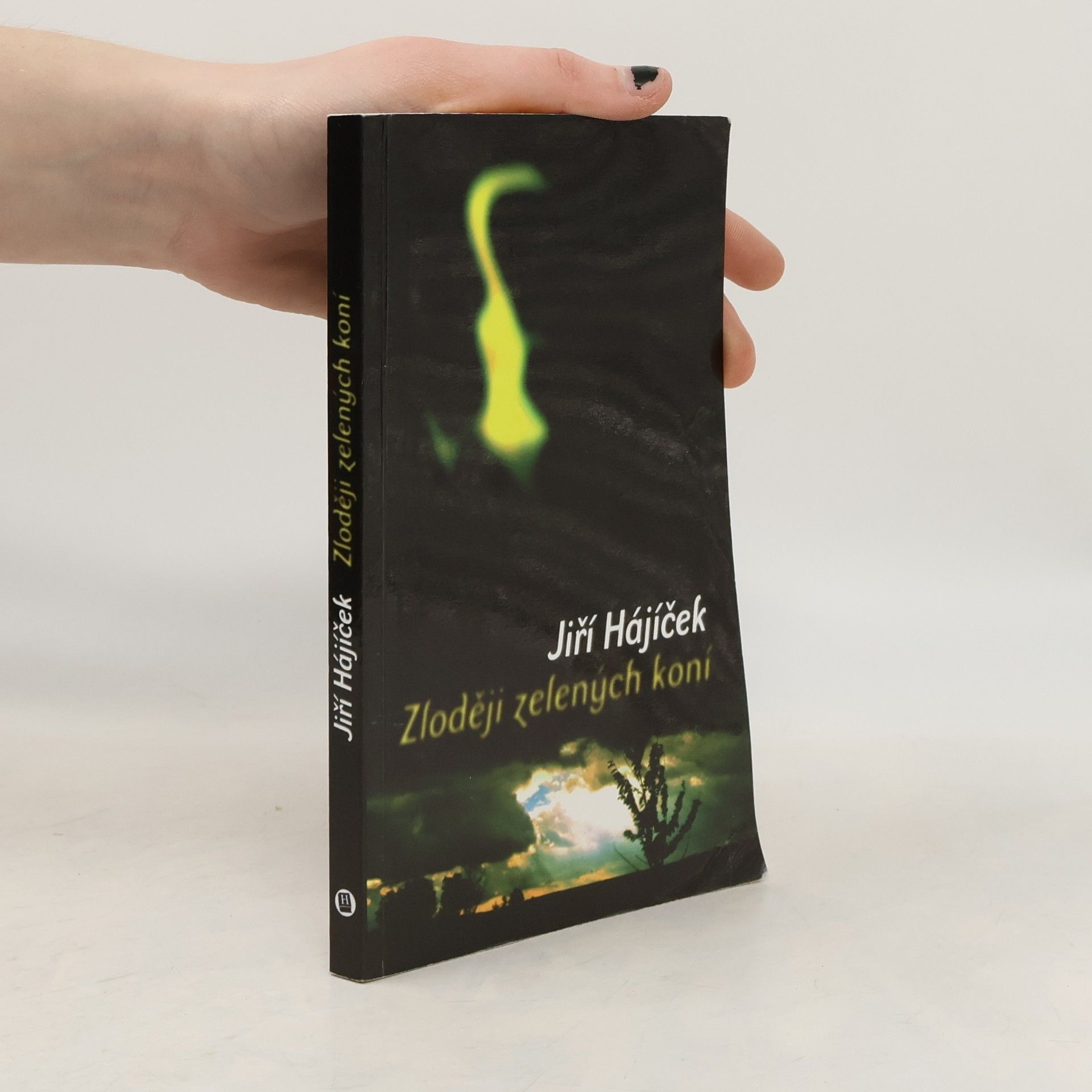 Jiří Hájíček Zloději zelených koní