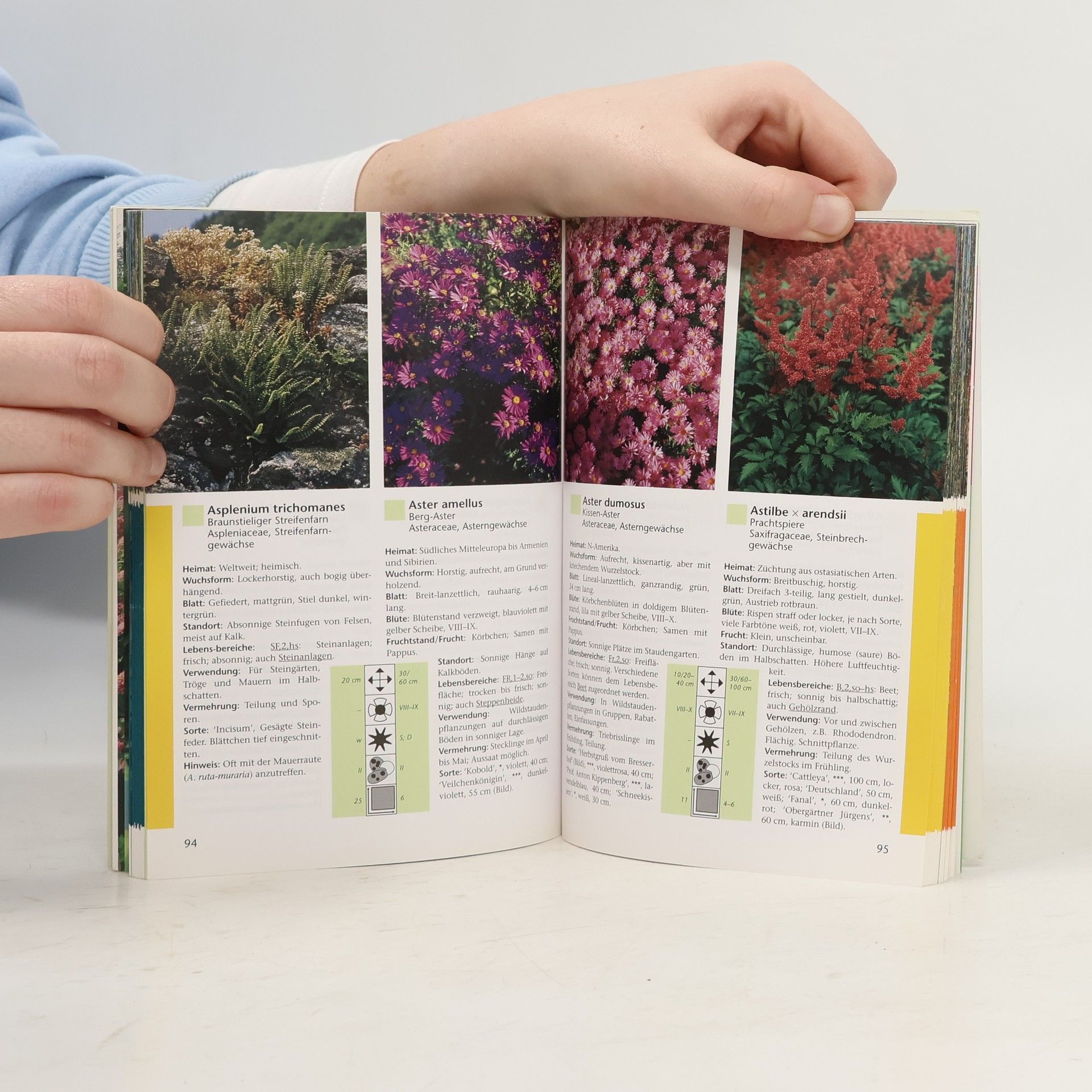 Martin Haberer 333 Gartenpflanzen