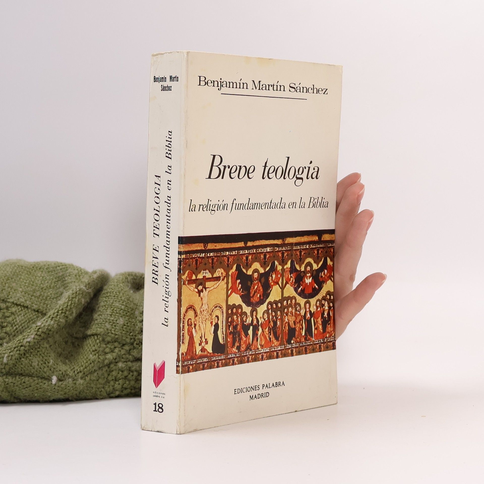 Benjamín Martín Sánchez Biblioteca Palabra - 18: Breve teología