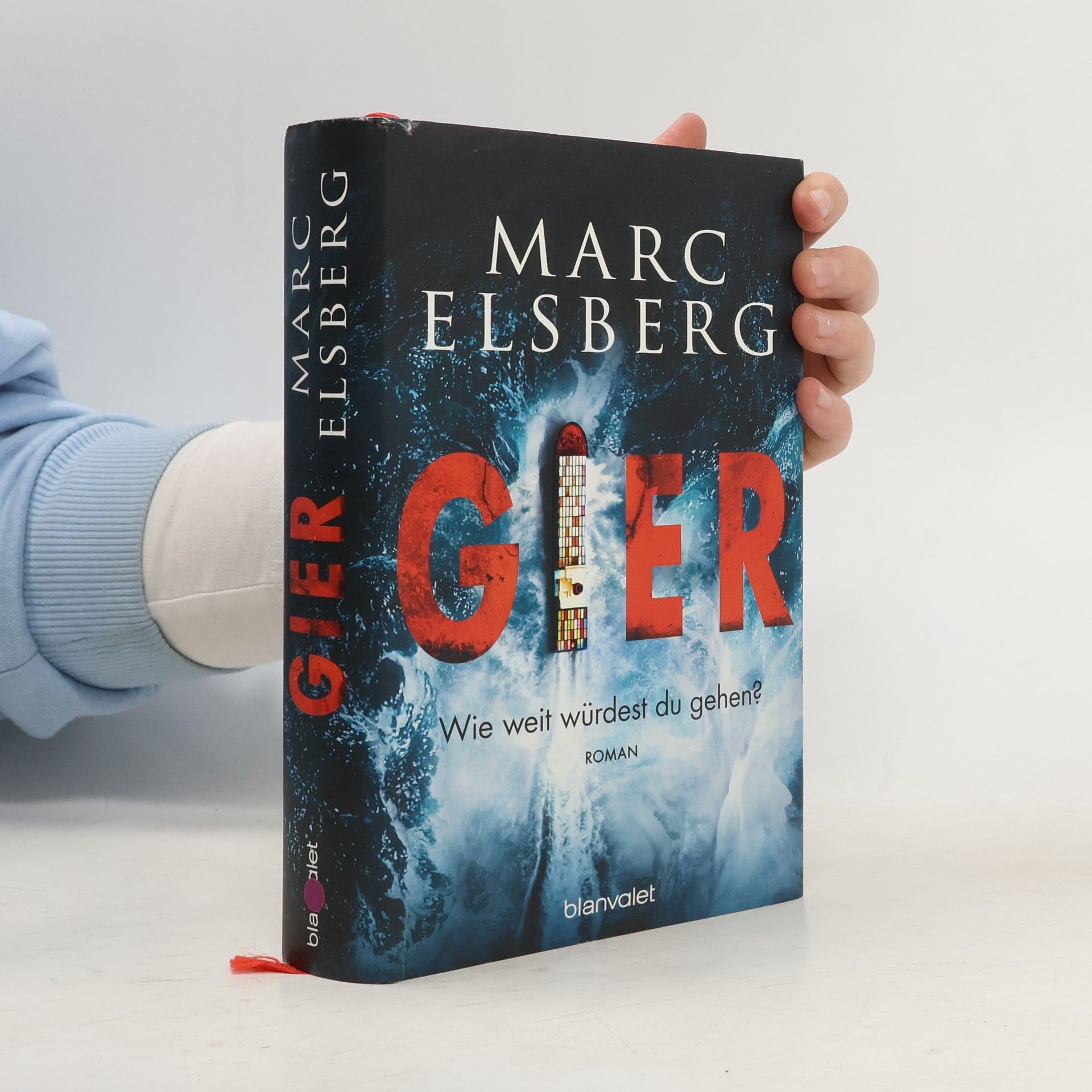 Marc Elsberg Gier