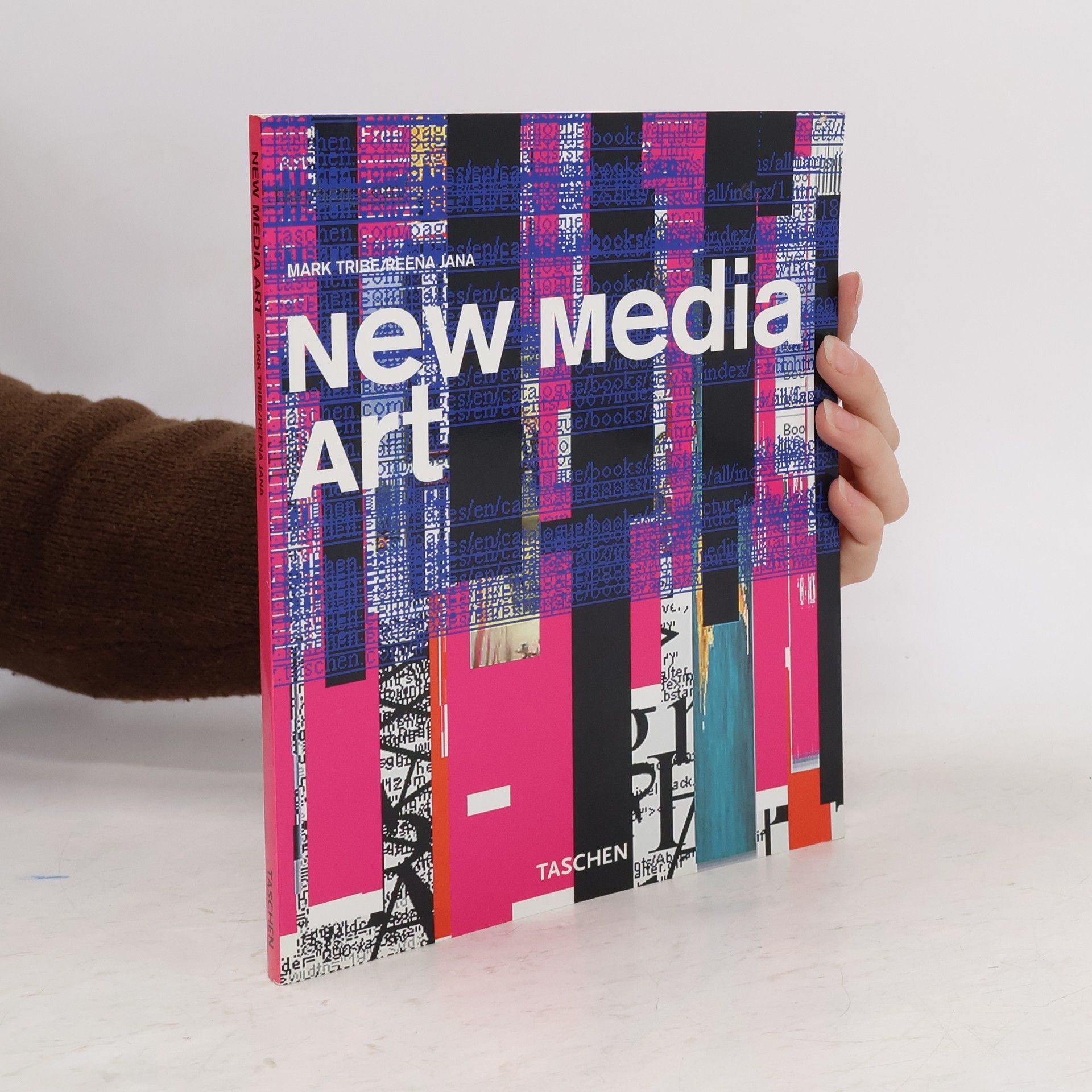 Mark Tribe New media art