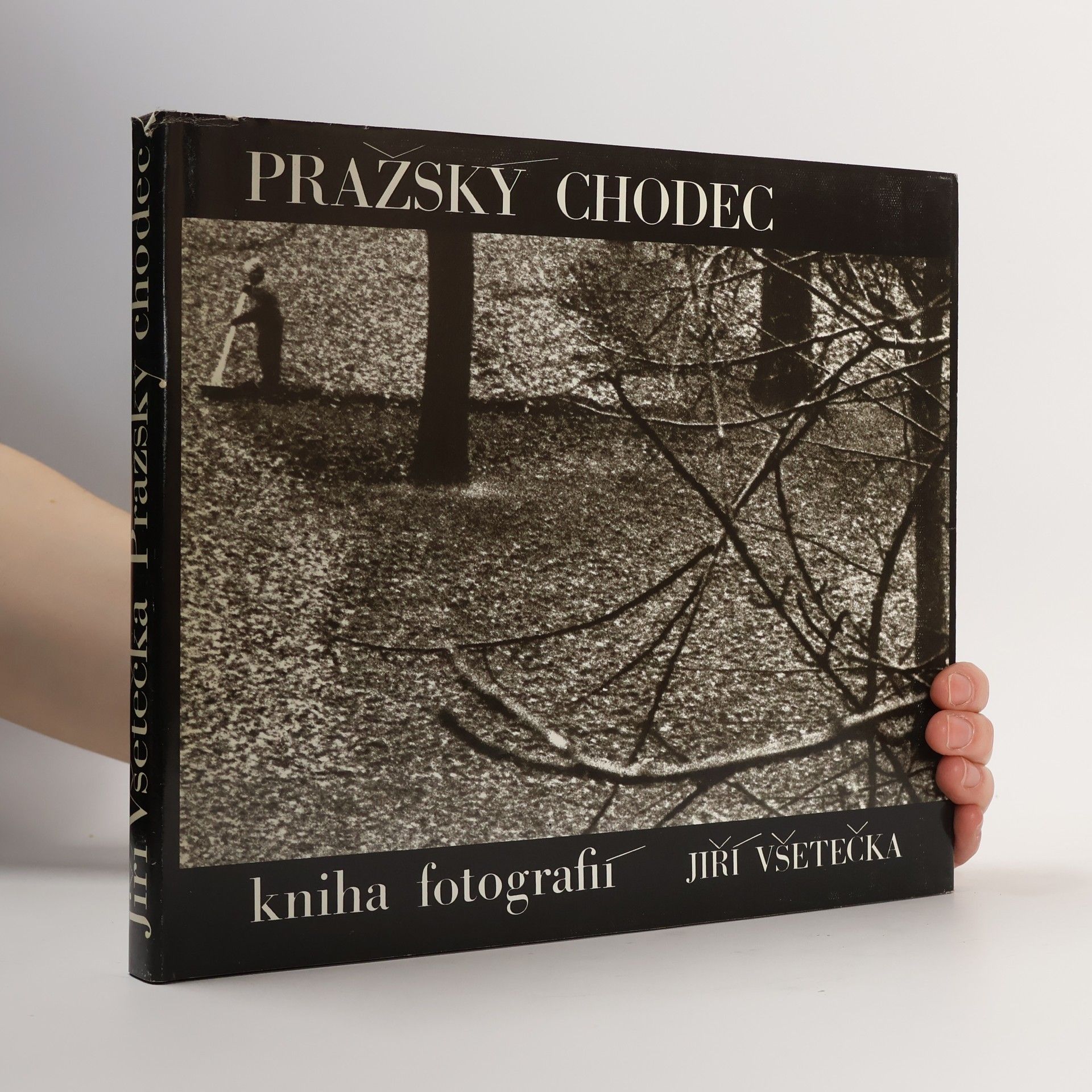 Jiří Všetečka Pražský chodec