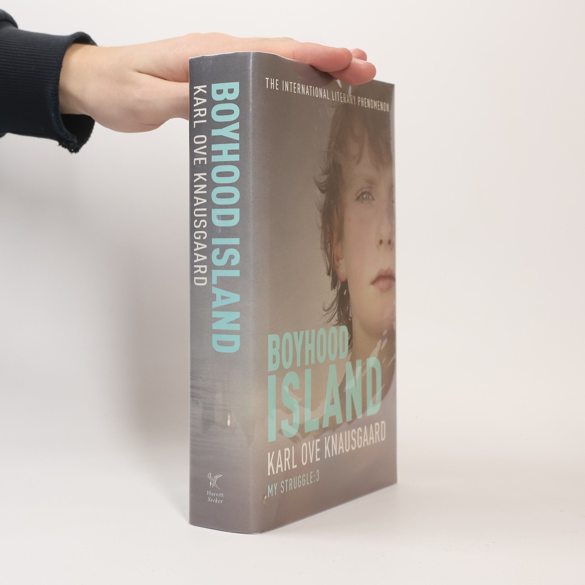 Karl Ove Knausgård My Struggle - 3: Boyhood Island