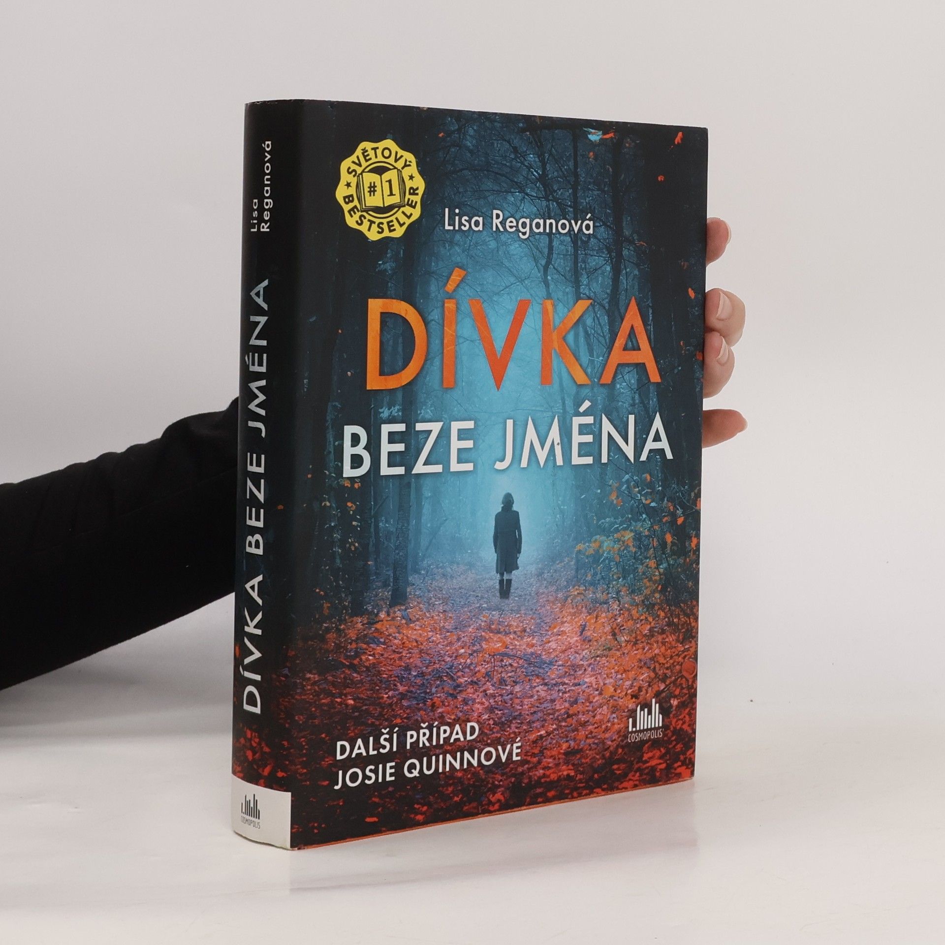 Lisa Regan Dívka beze jména: Další případ Josie Quinnové