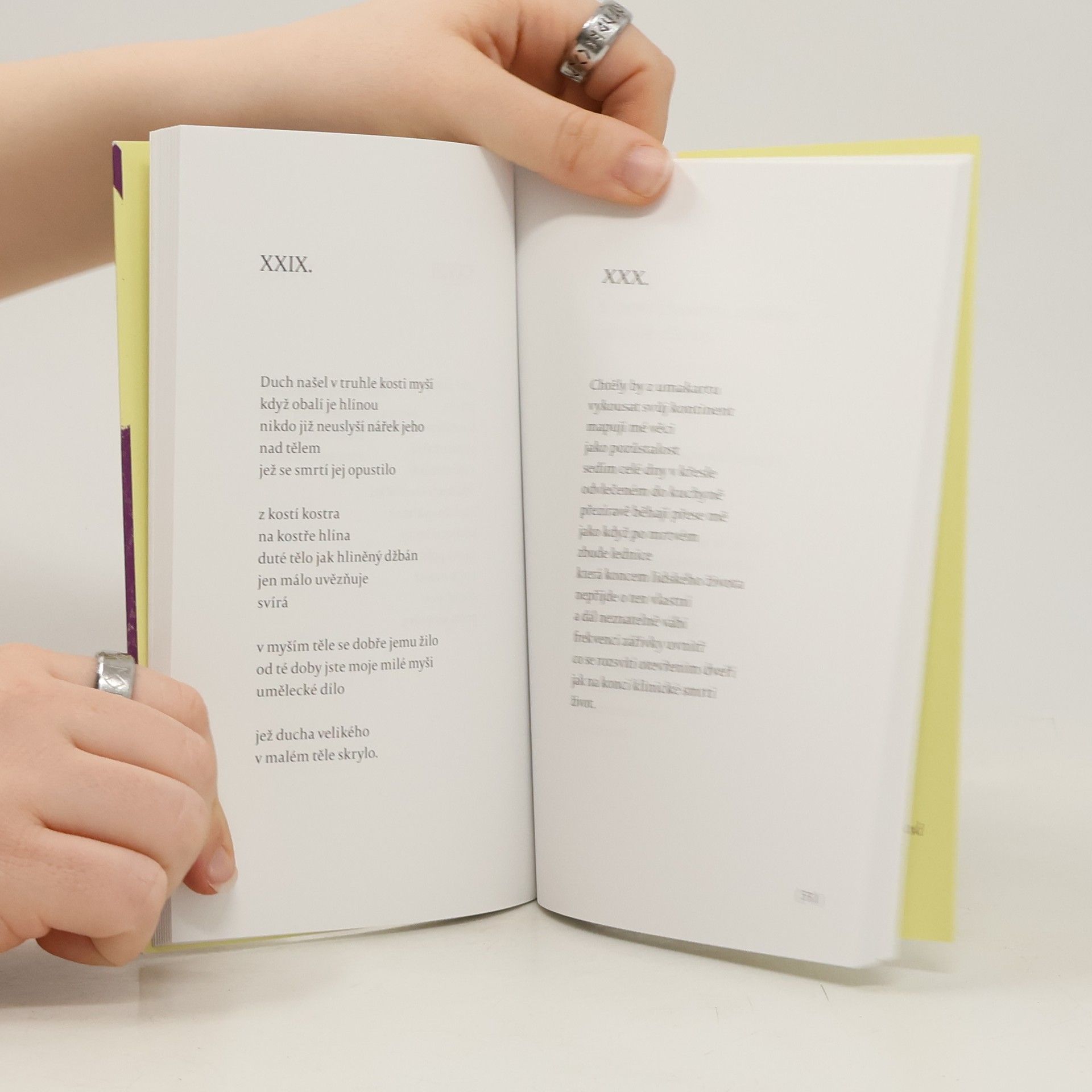 Janele z. Liků Hryzla: Výběr z textů 2011-2020
