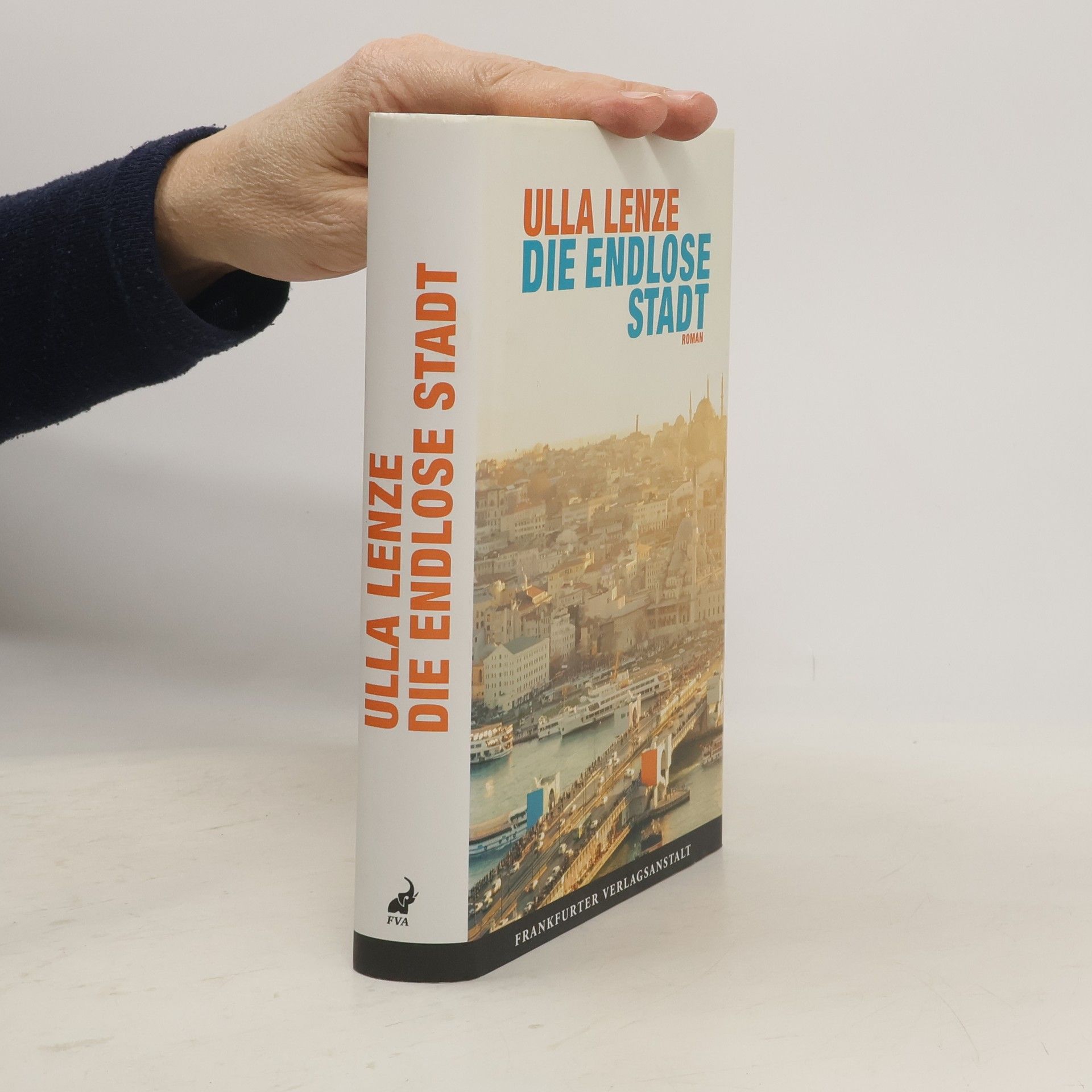 Ulla Lenze Die endlose Stadt