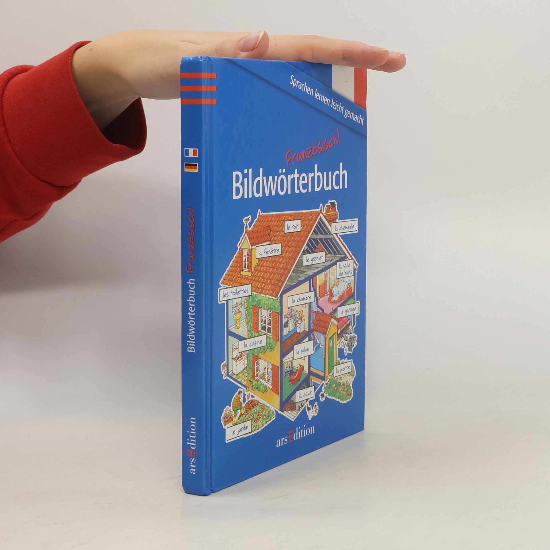 Helen Davies Bildwörterbuch Französisch