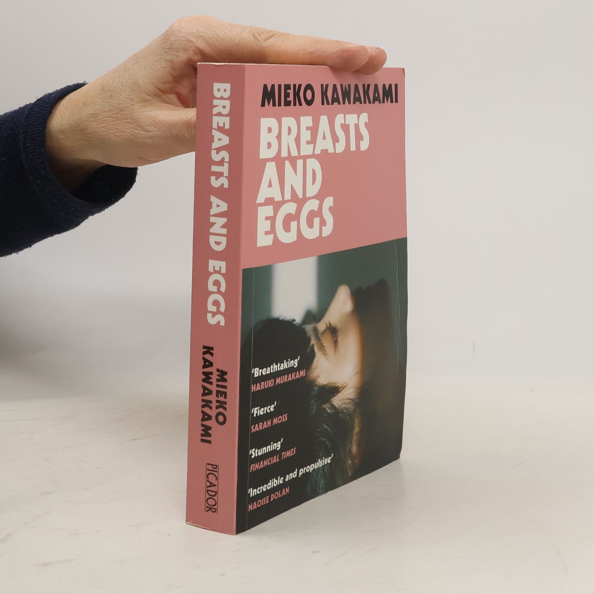 Mieko Kawakami Breasts and Eggs