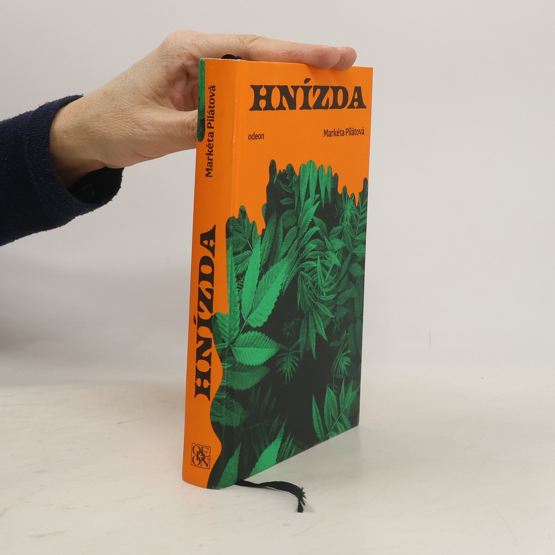 Markéta Pilátová Hnízda