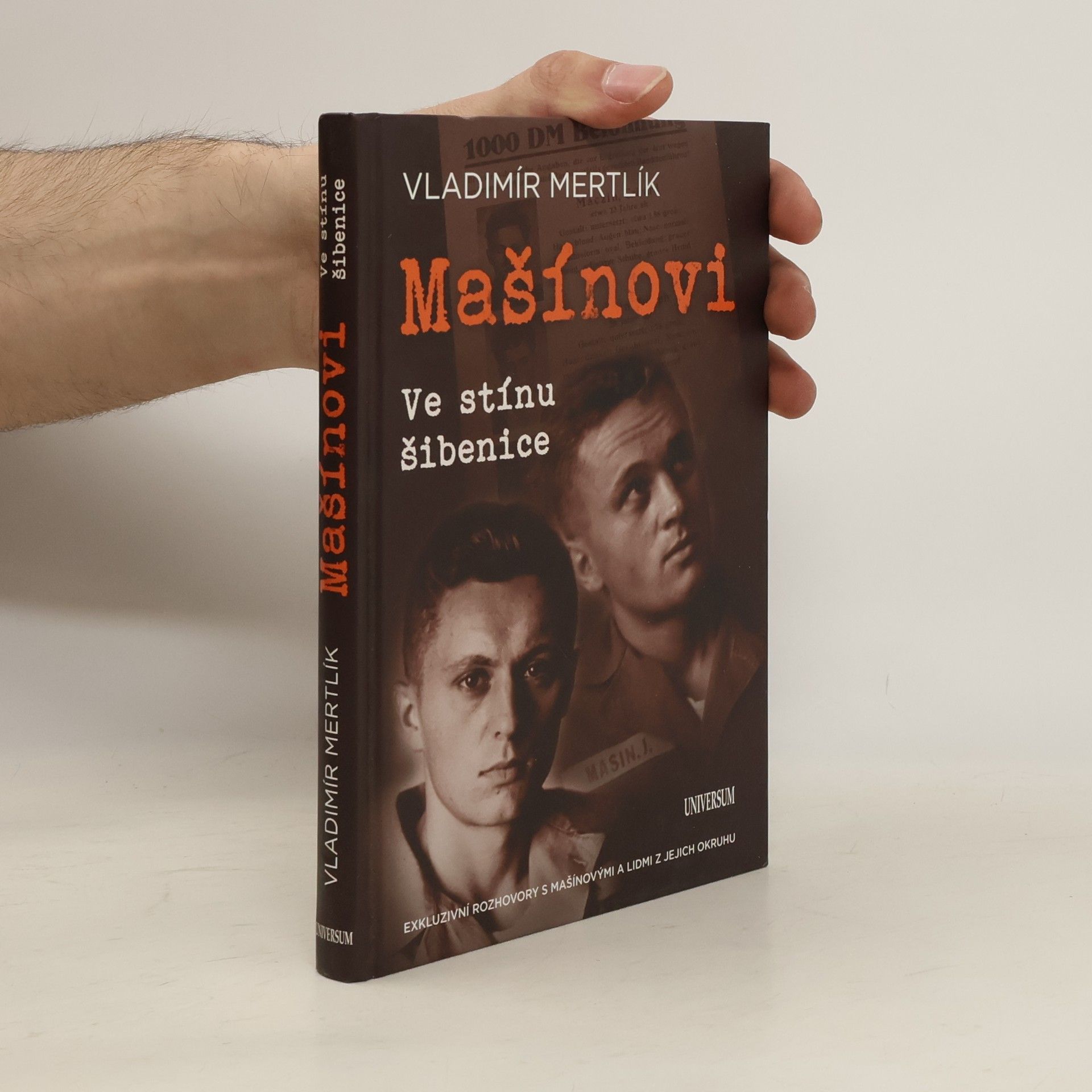 Vladimír Mertlík Mašínovi. Ve stínu šibenice