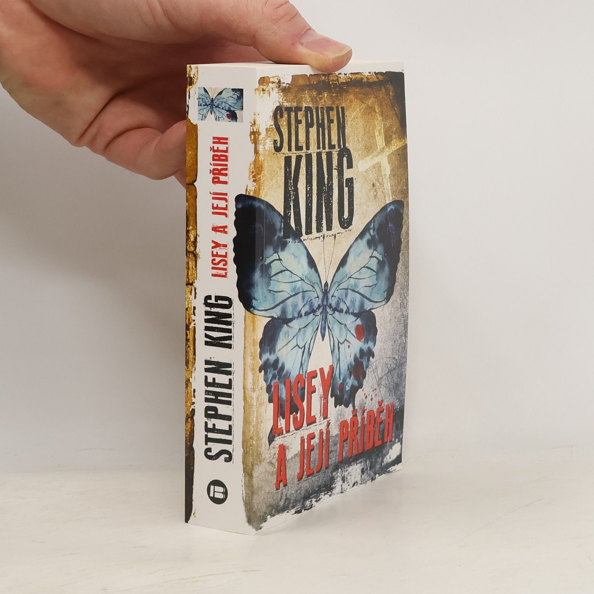 Stephen King Lisey a její příběh
