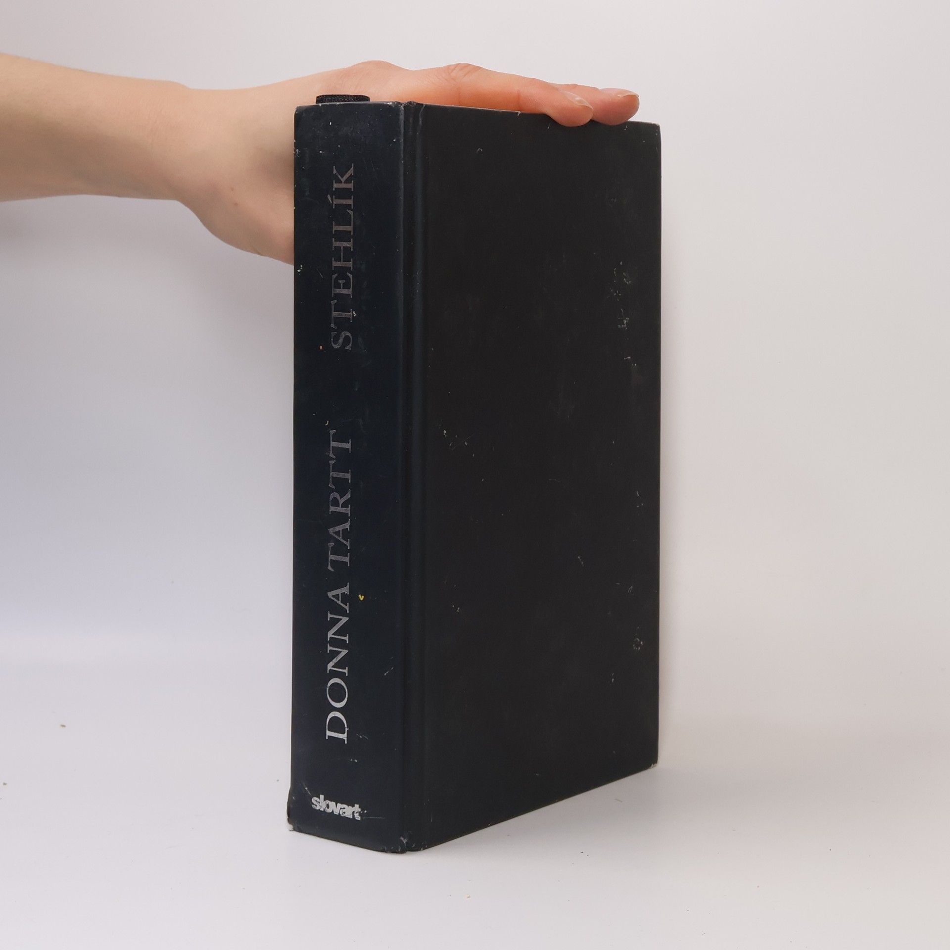 Donna Tartt Stehlík