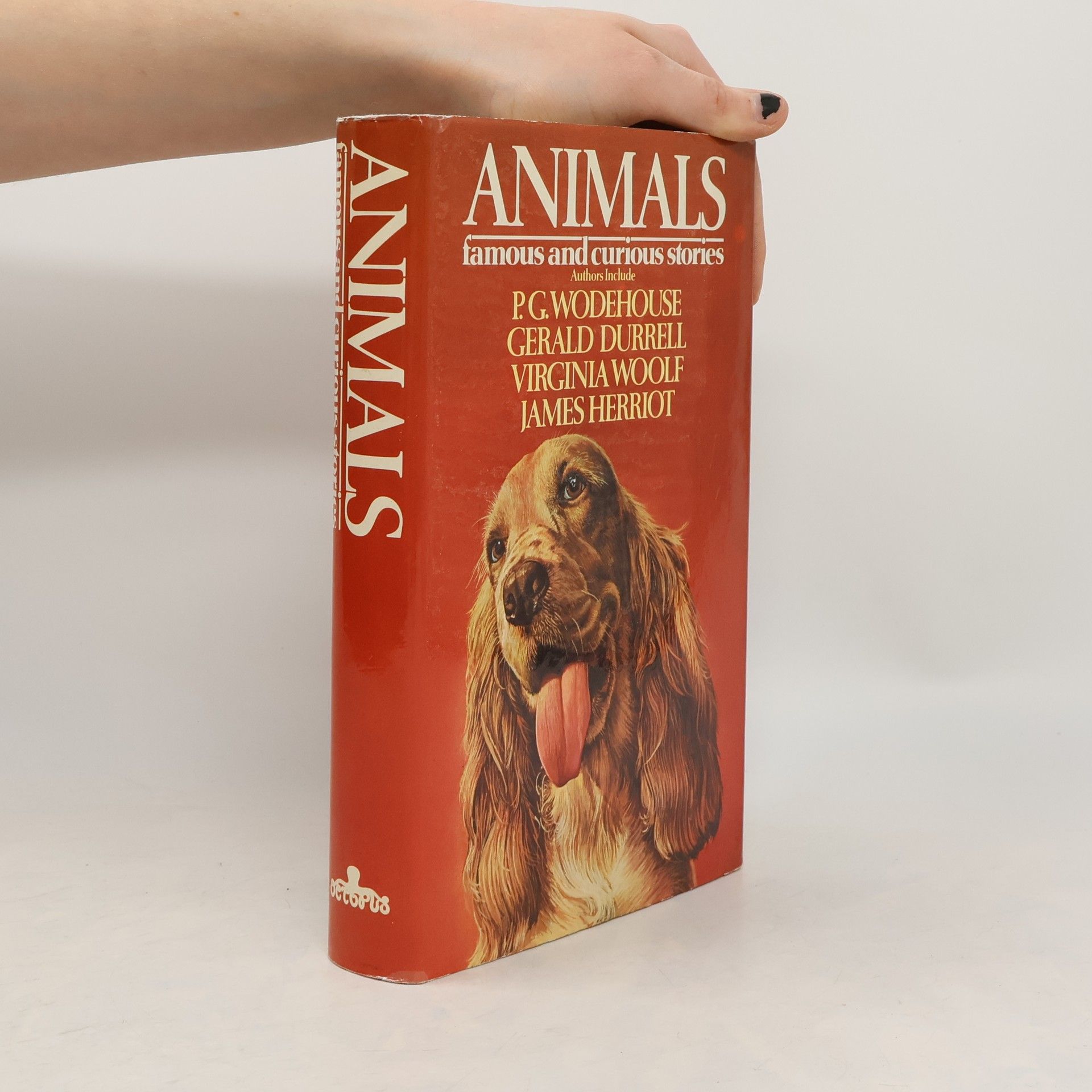 Autorenkollektiv Animals. Famous and Curious Stories