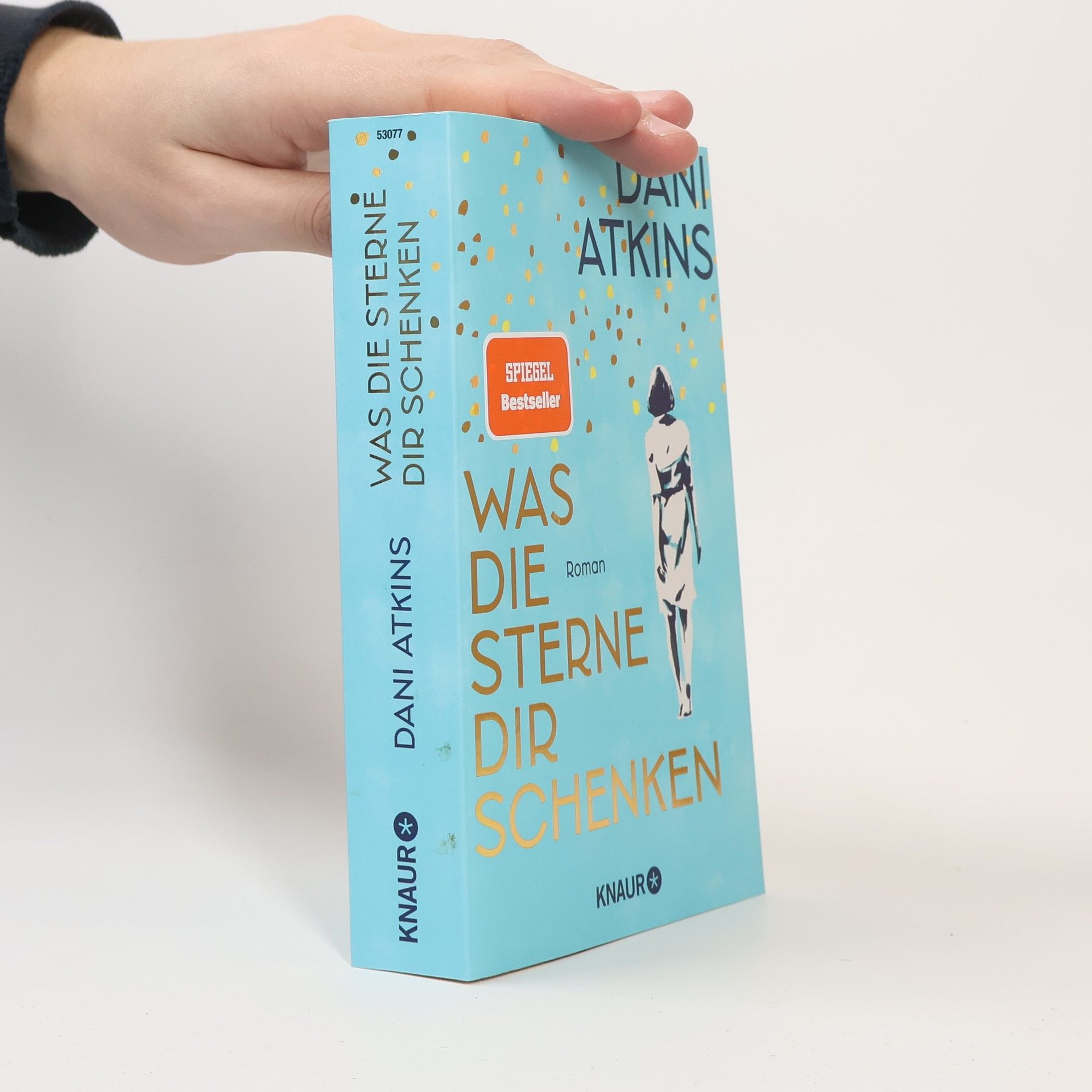 Dani Atkins Was die Sterne dir schenken