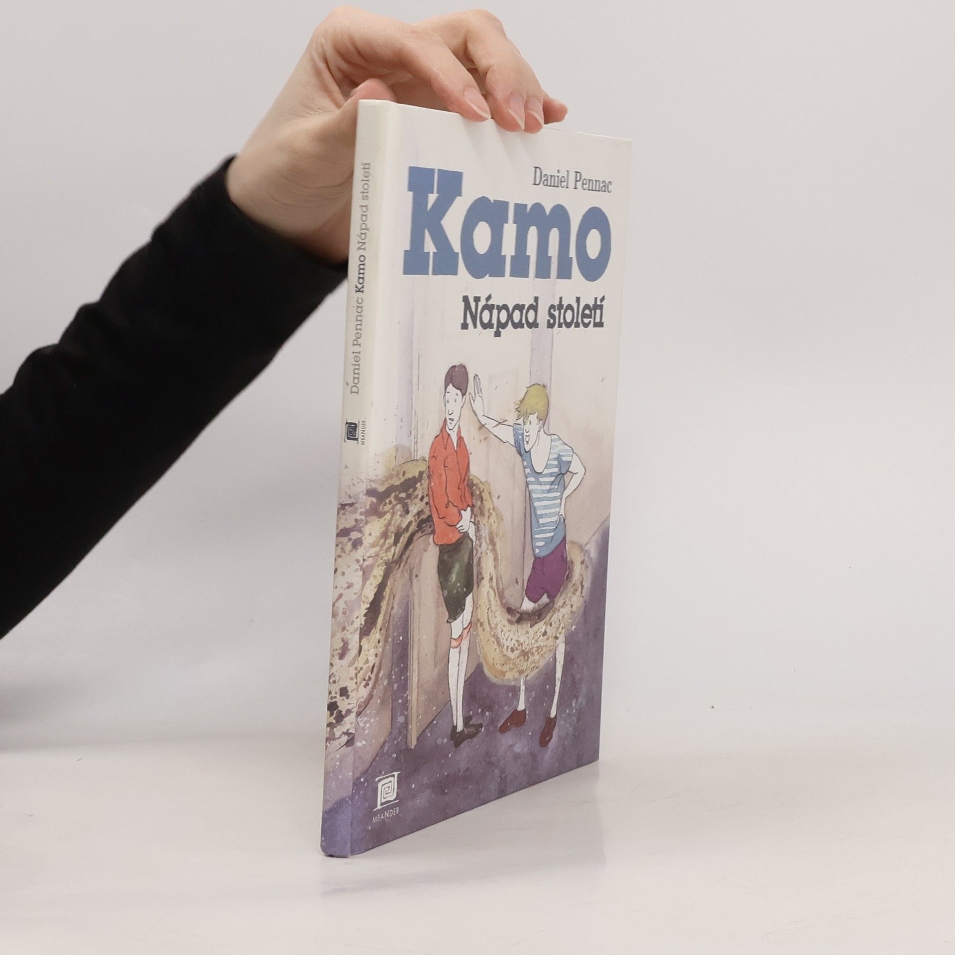 Daniel Pennac Kamo. Nápad století