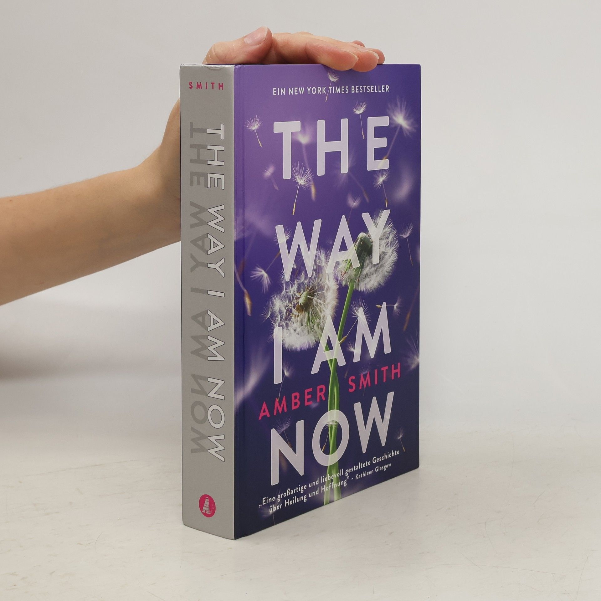 Amber Smith The Way I am Now