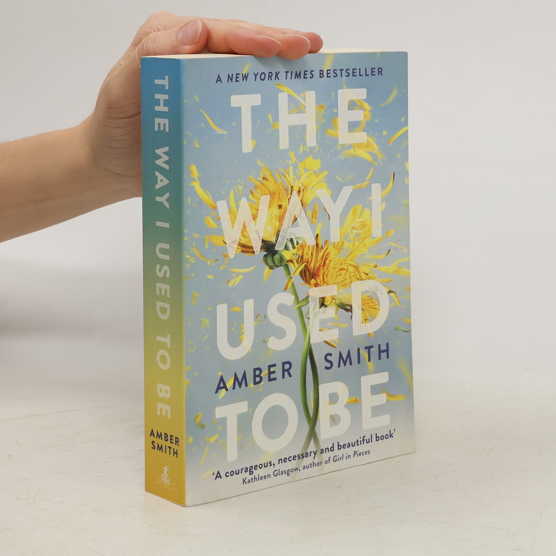 Amber Smith The Way I Used to Be