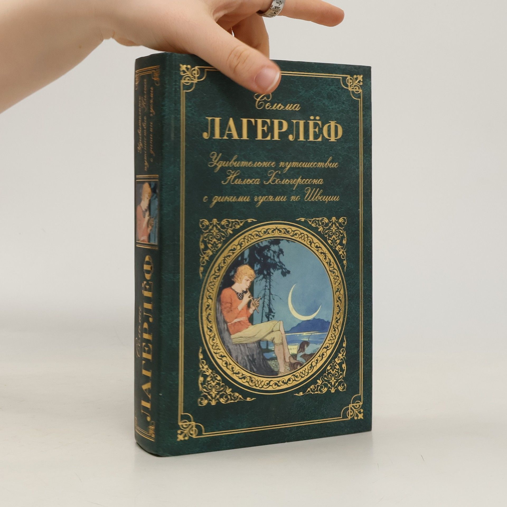 Selma Lagerlöf Удивительное путешествие Нильса Хольгерссона с дикими гусями по Швеции